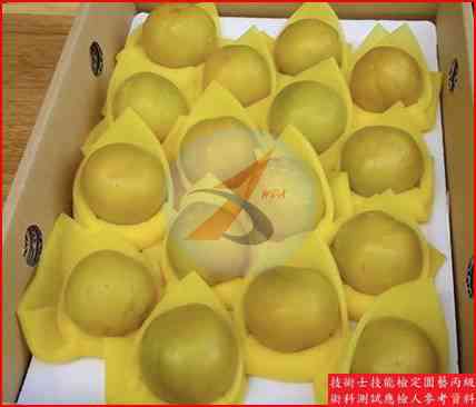 李 園藝丙級識別圖片 6