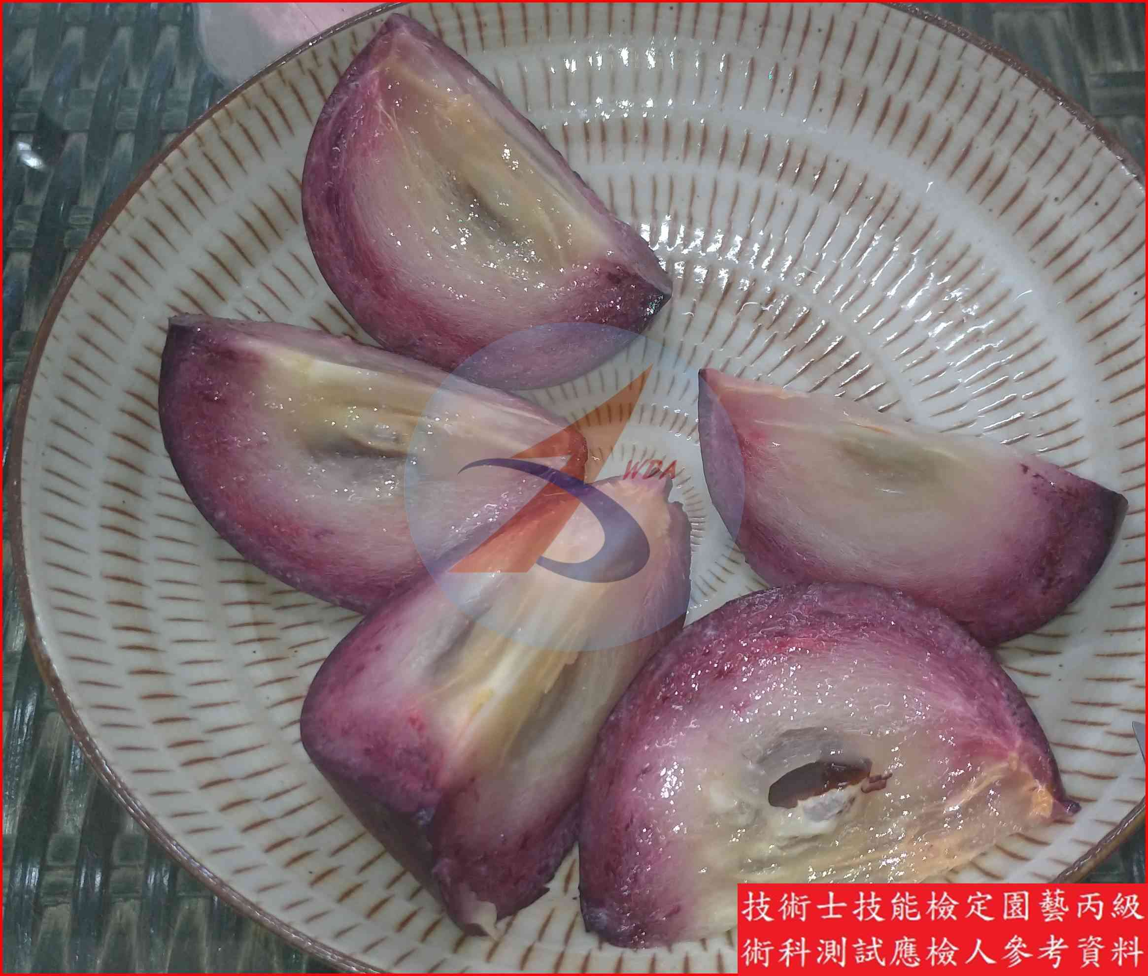 星蘋果 園藝丙級識別圖片 8