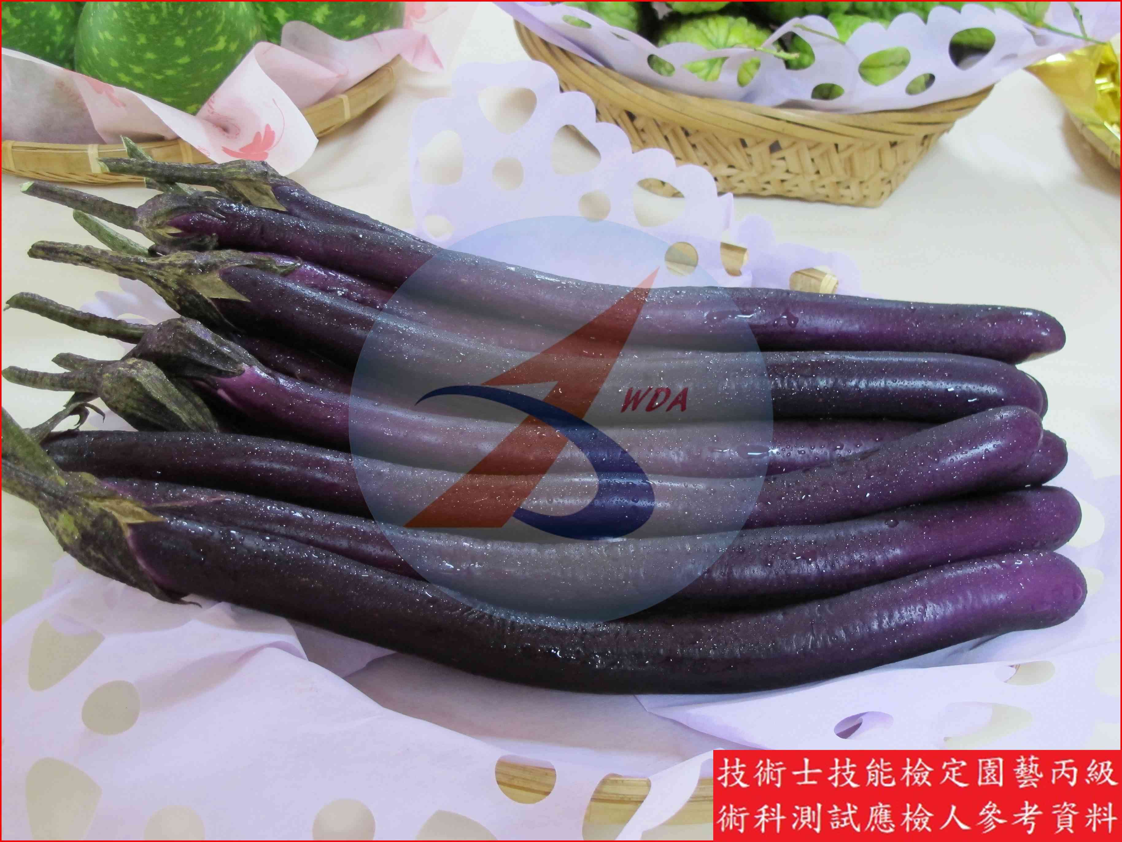 茄子 園藝丙級識別圖片 3