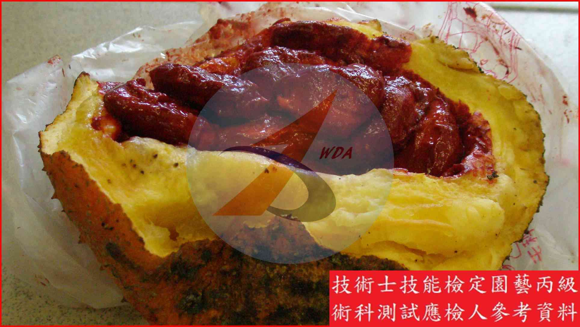 木鱉果 園藝丙級識別圖片 15