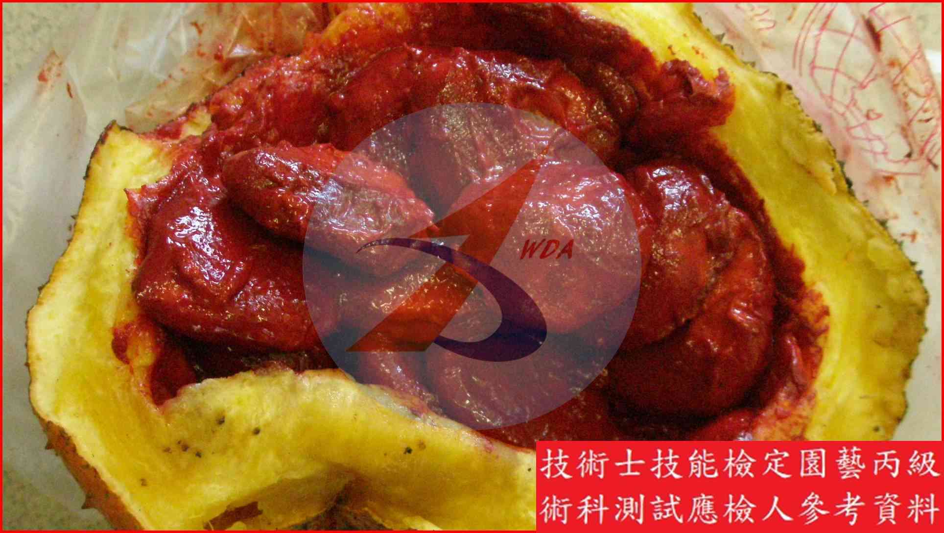 木鱉果 園藝丙級識別圖片 2