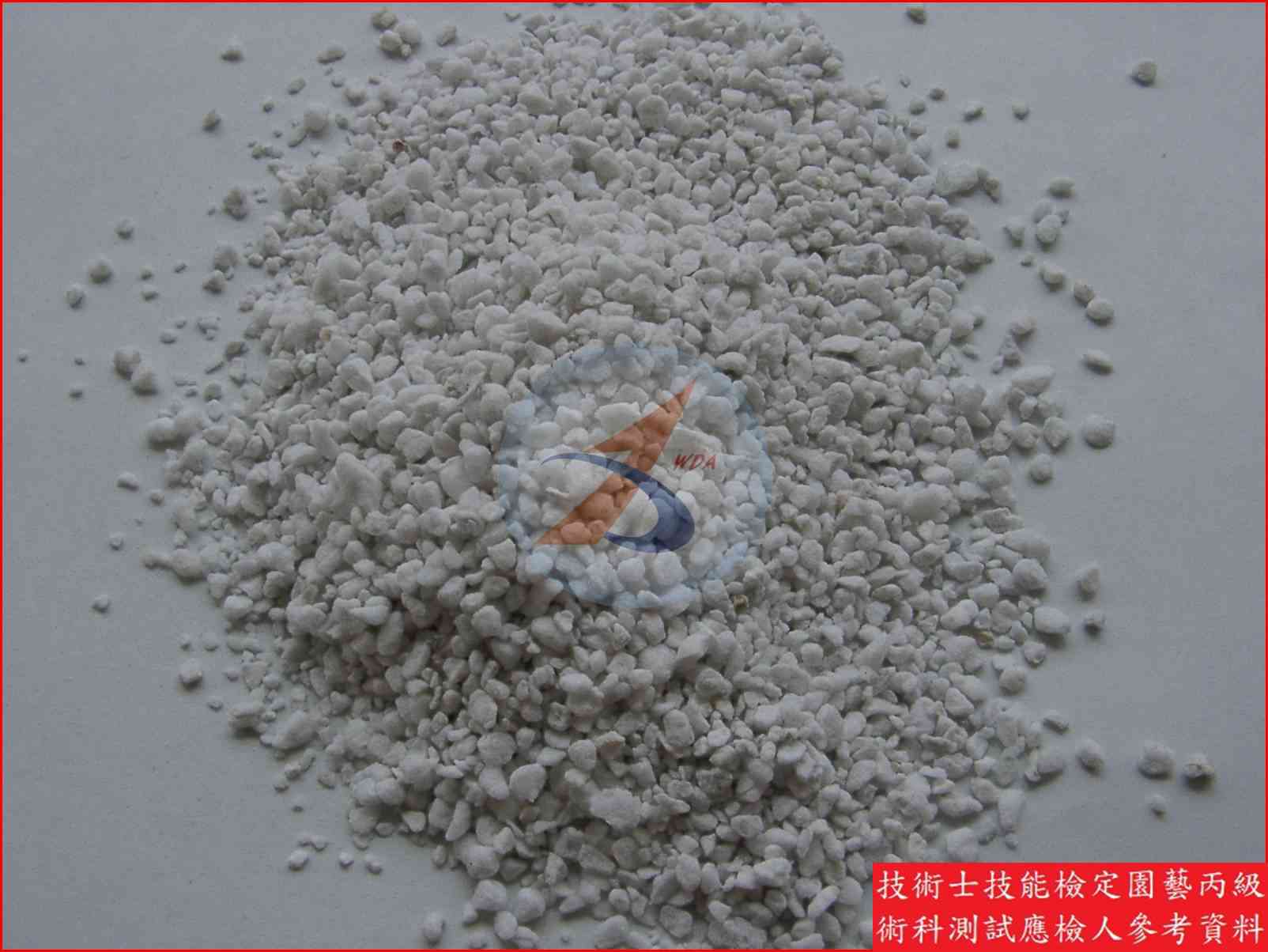 珍珠石 園藝丙級辨識圖片