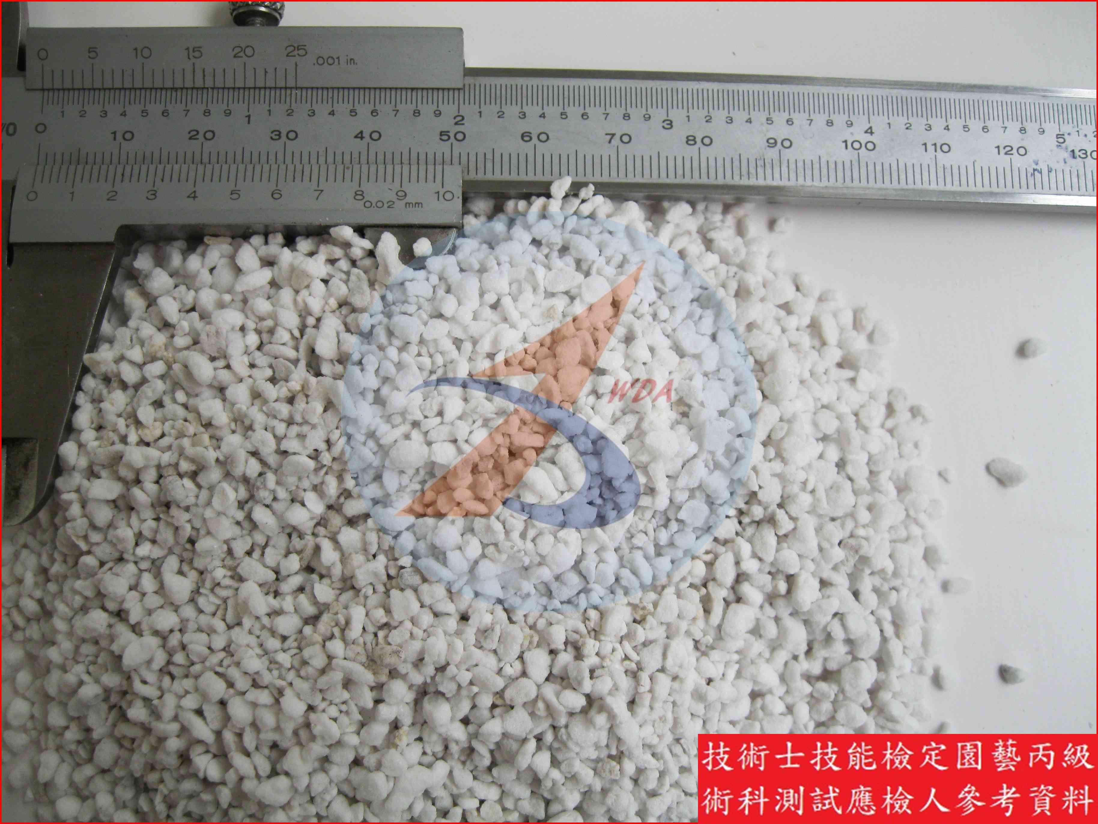 珍珠石 園藝丙級識別圖片 2
