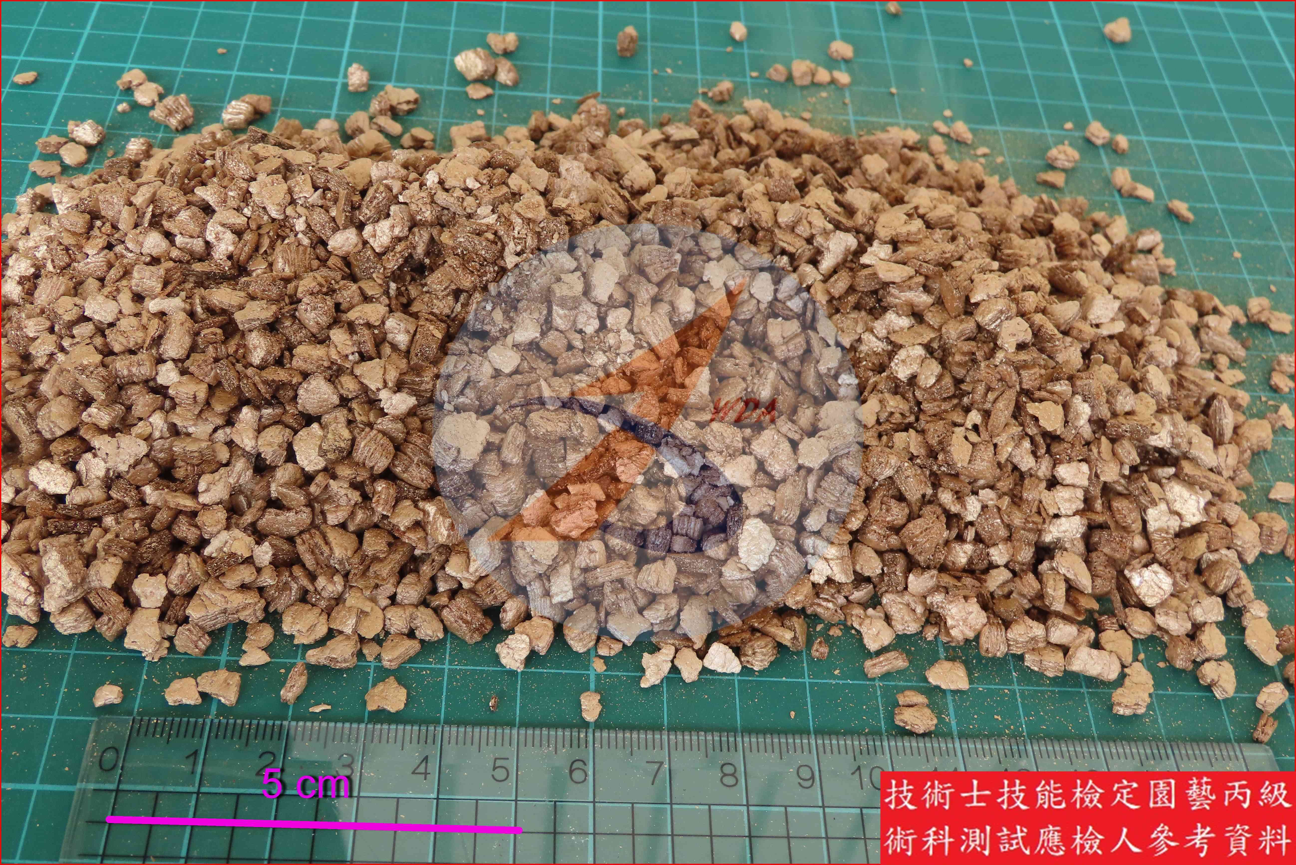 蛭石 園藝丙級辨識圖片