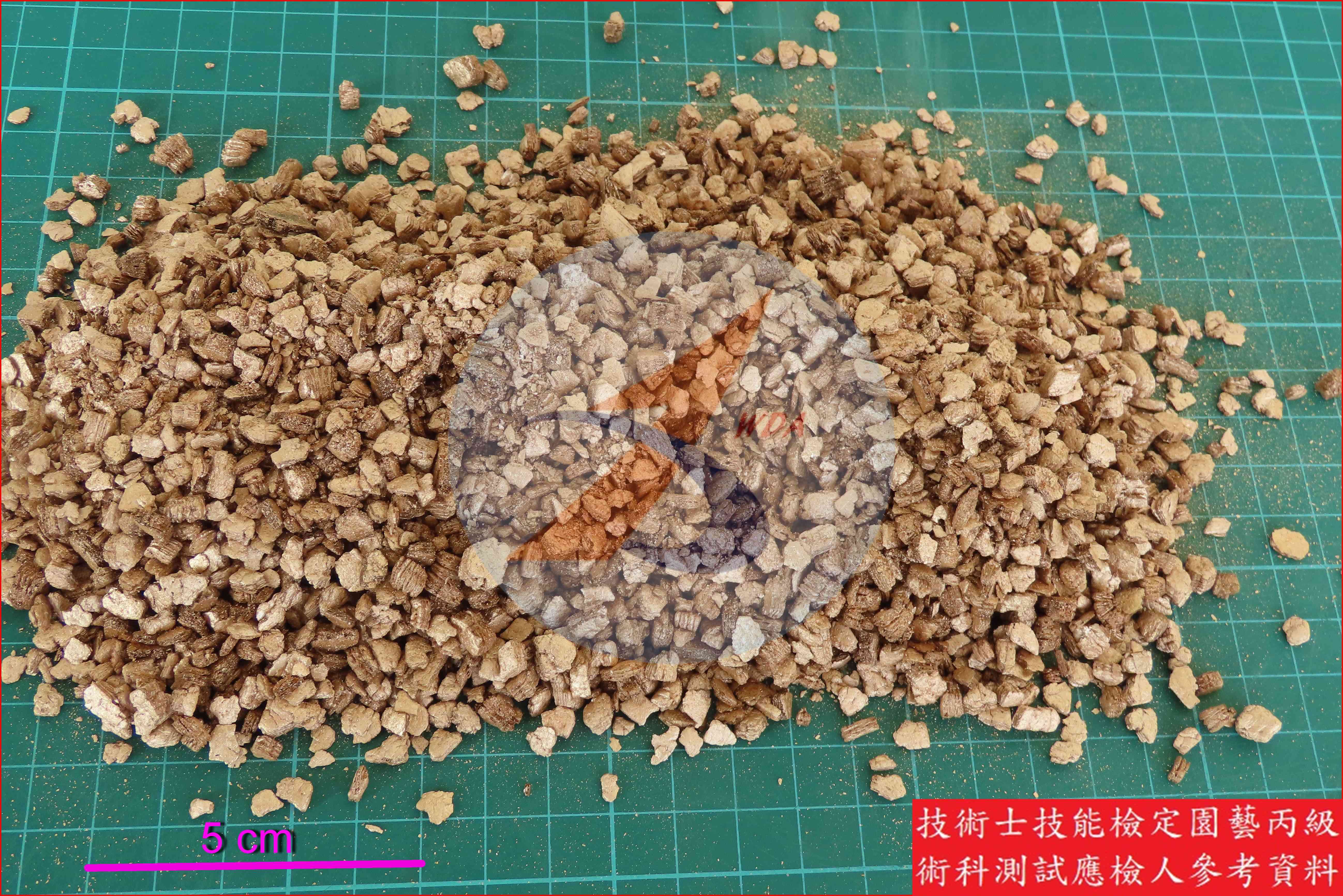 蛭石 園藝丙級識別圖片 2