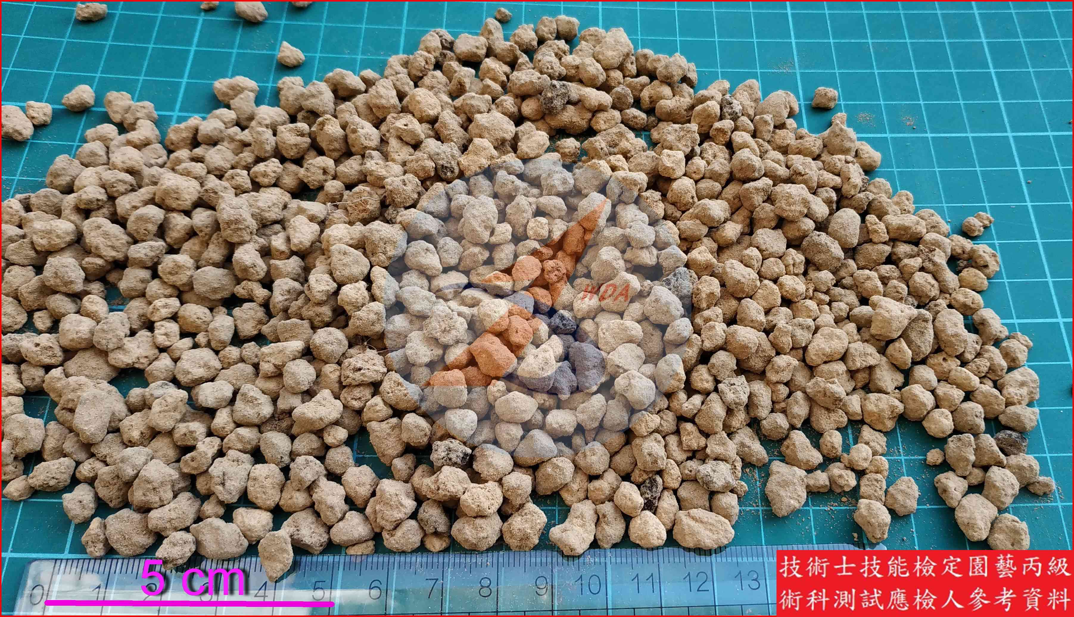 赤玉土 園藝丙級辨識圖片