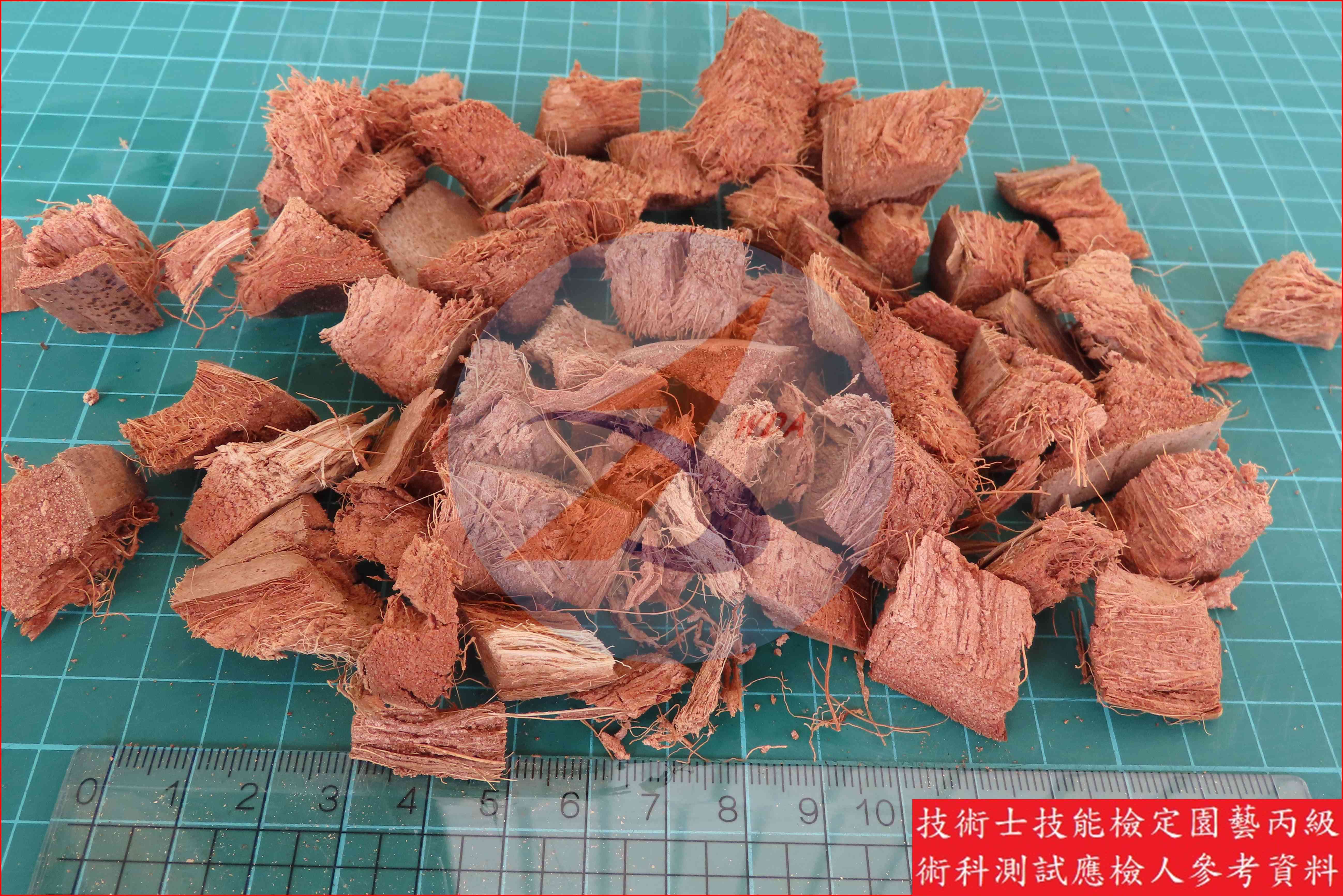 椰子殼屑 園藝丙級辨識圖片
