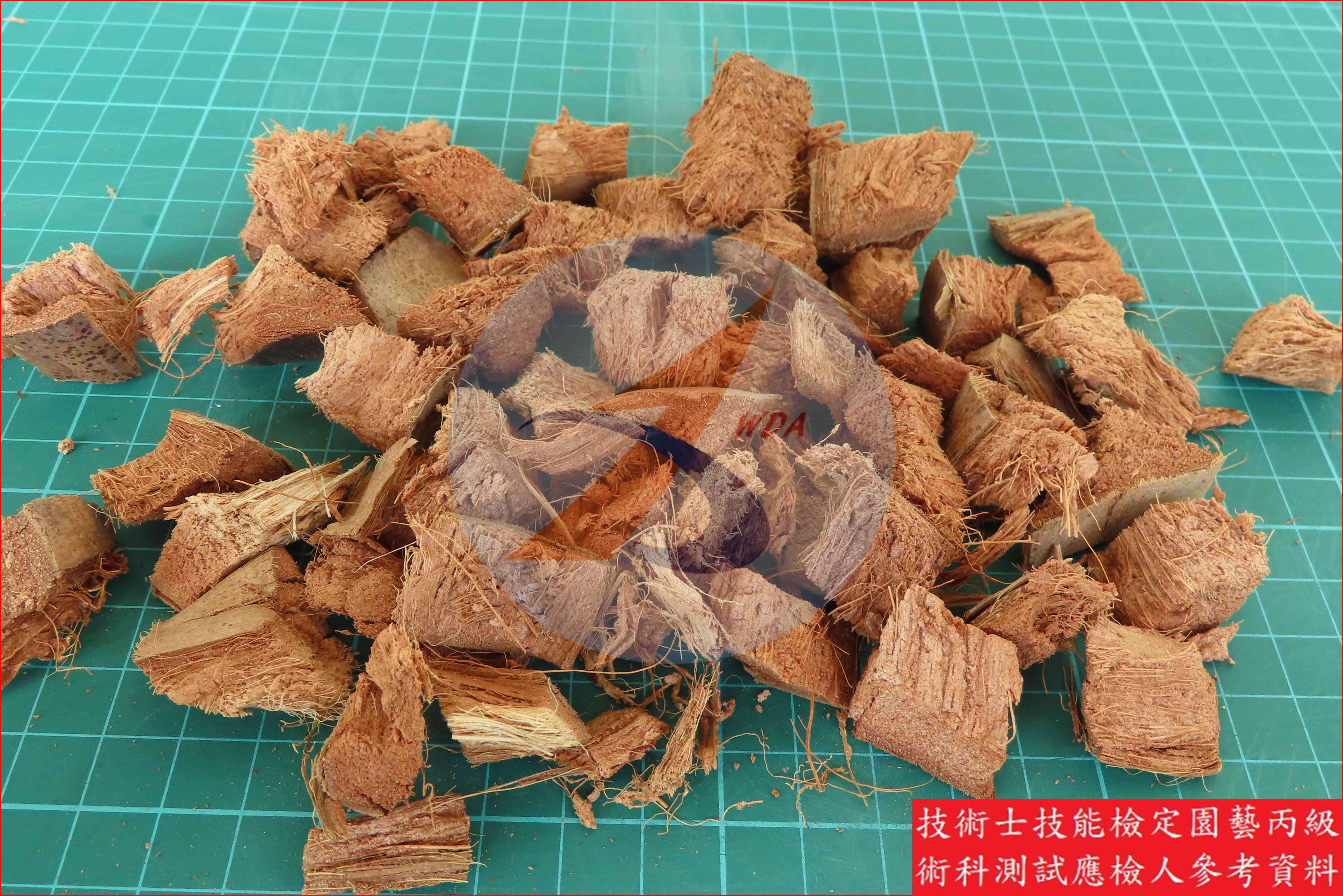 椰子殼屑 園藝丙級識別圖片 3
