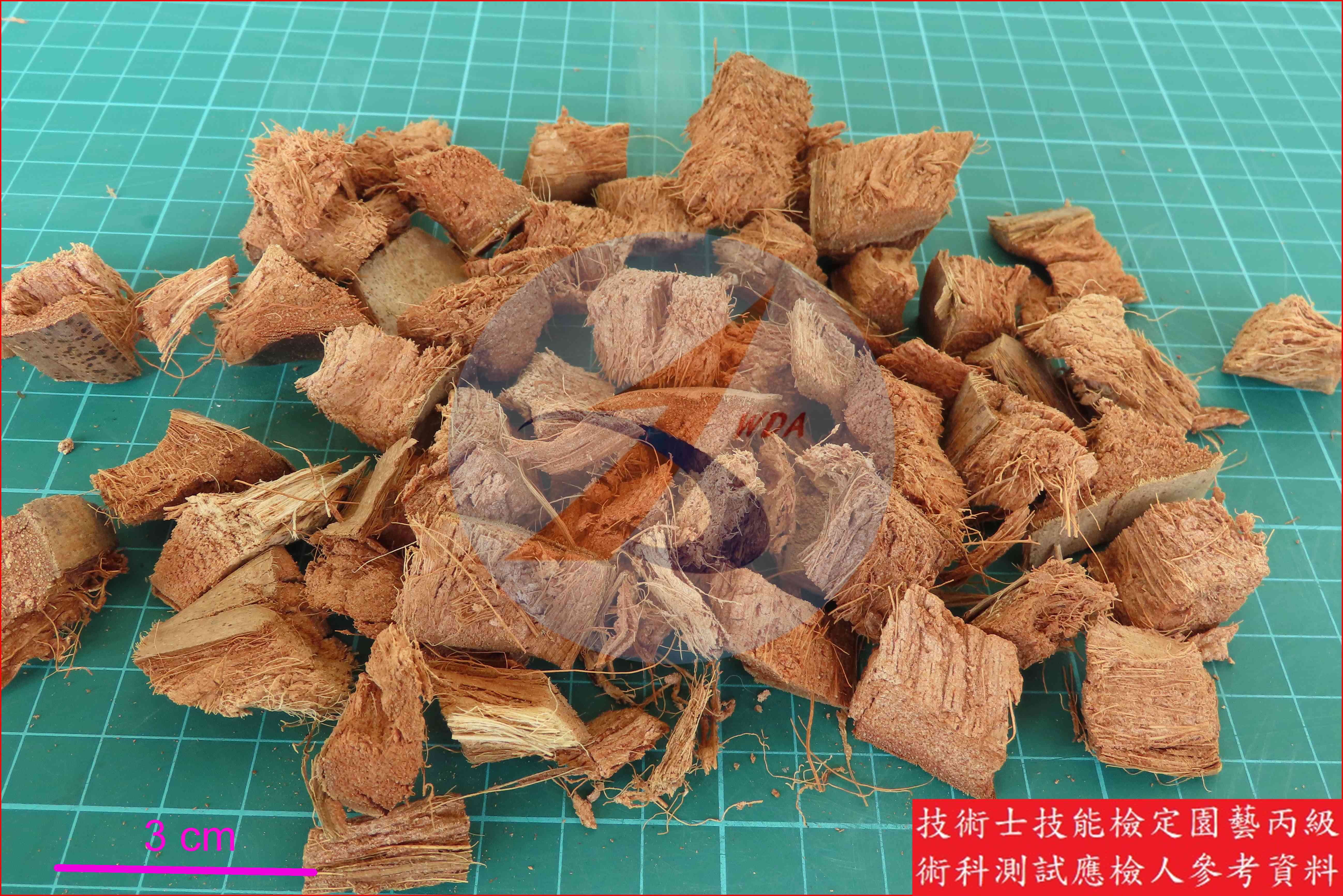 椰子殼屑 園藝丙級識別圖片 4