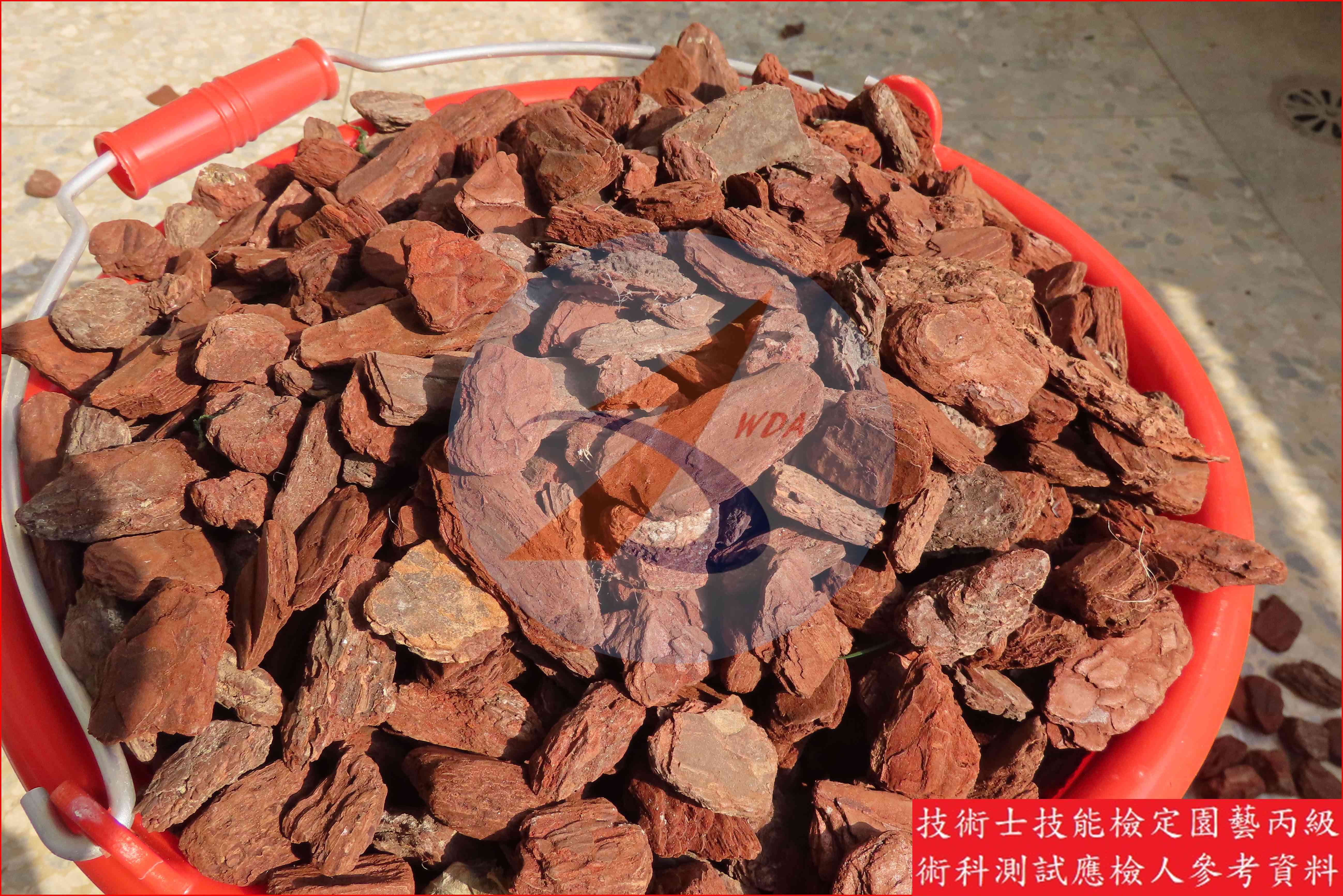 樹皮 園藝丙級辨識圖片