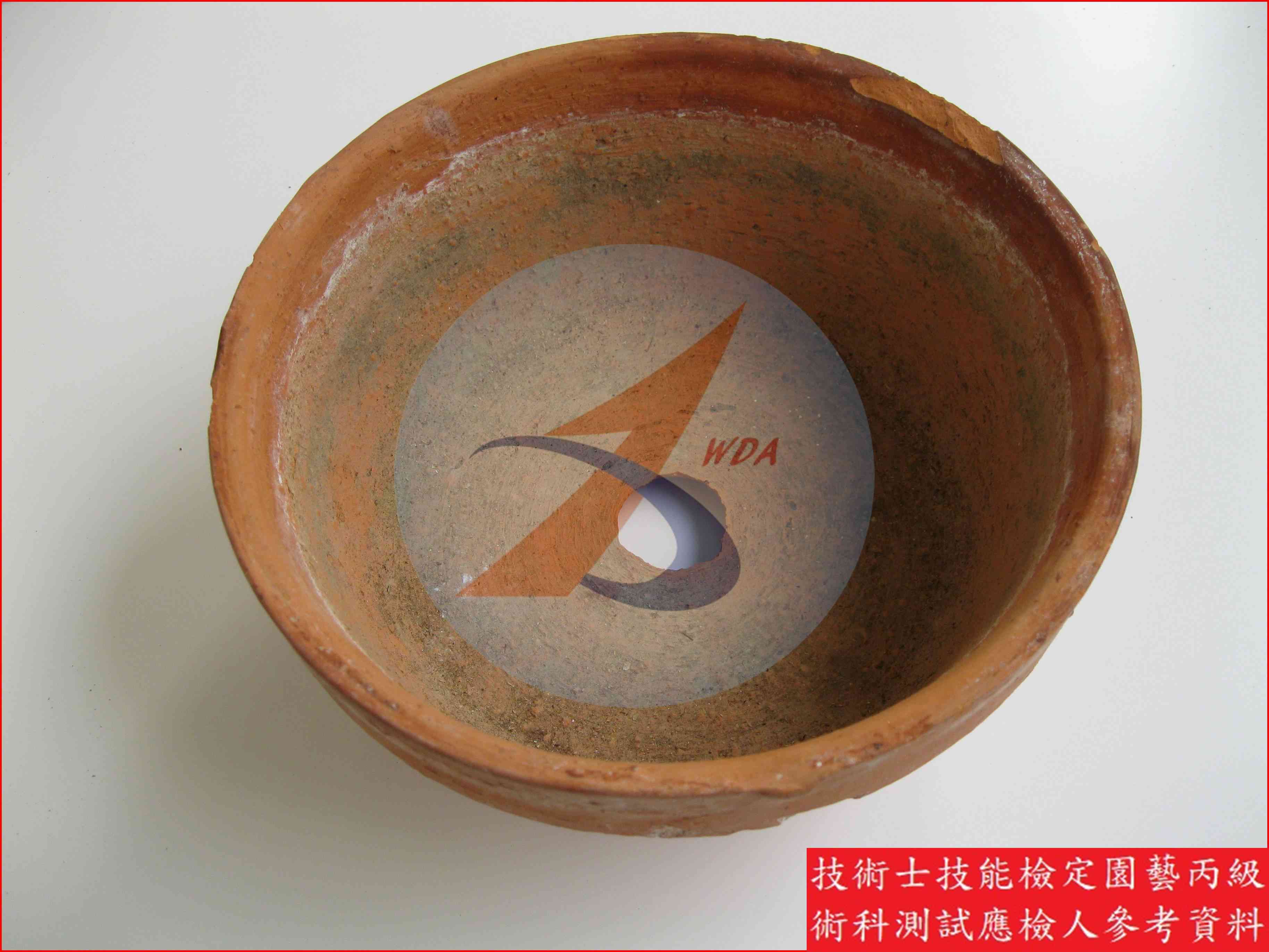 素燒盆 園藝丙級辨識圖片