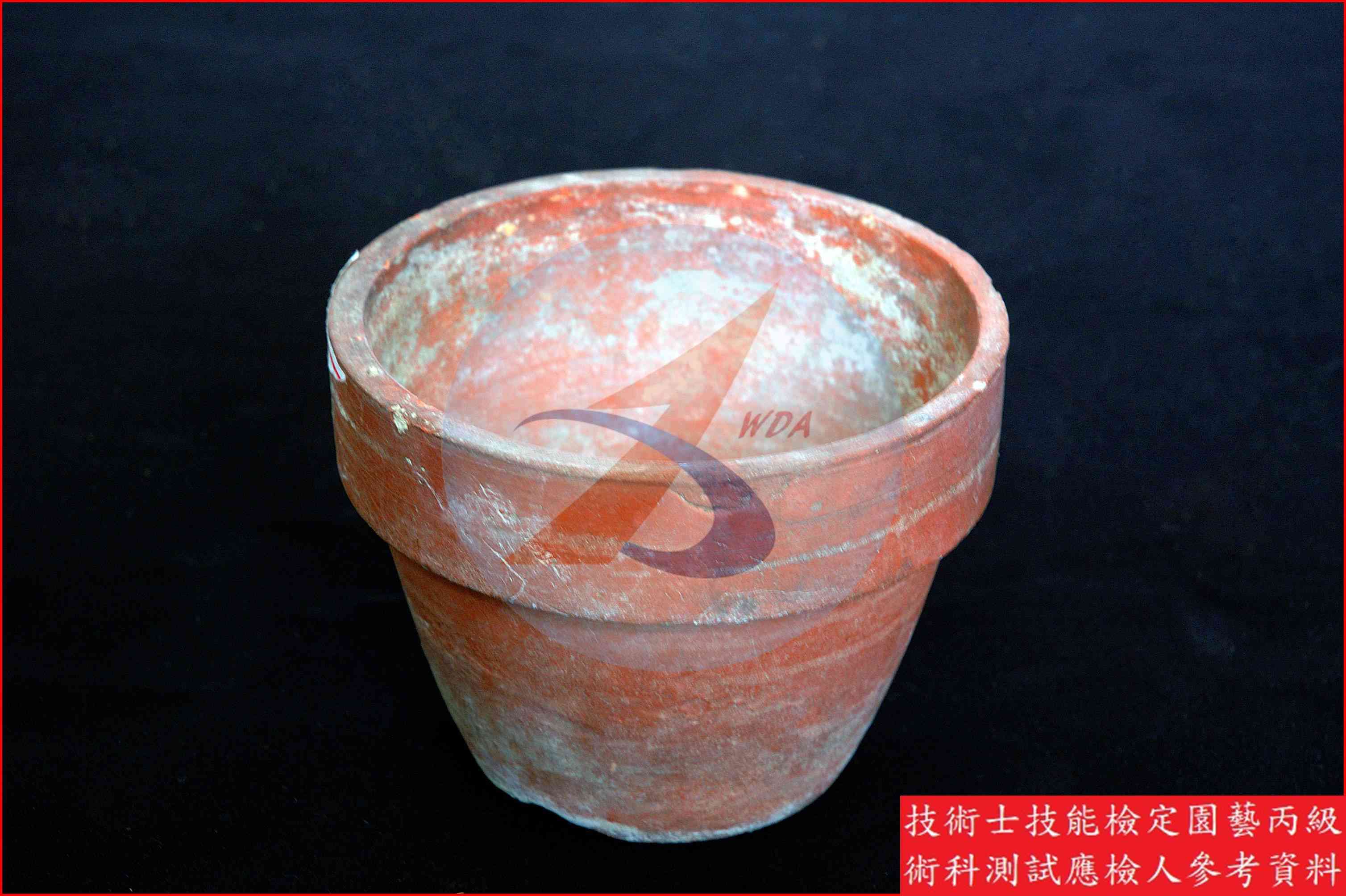 素燒盆 園藝丙級識別圖片 2