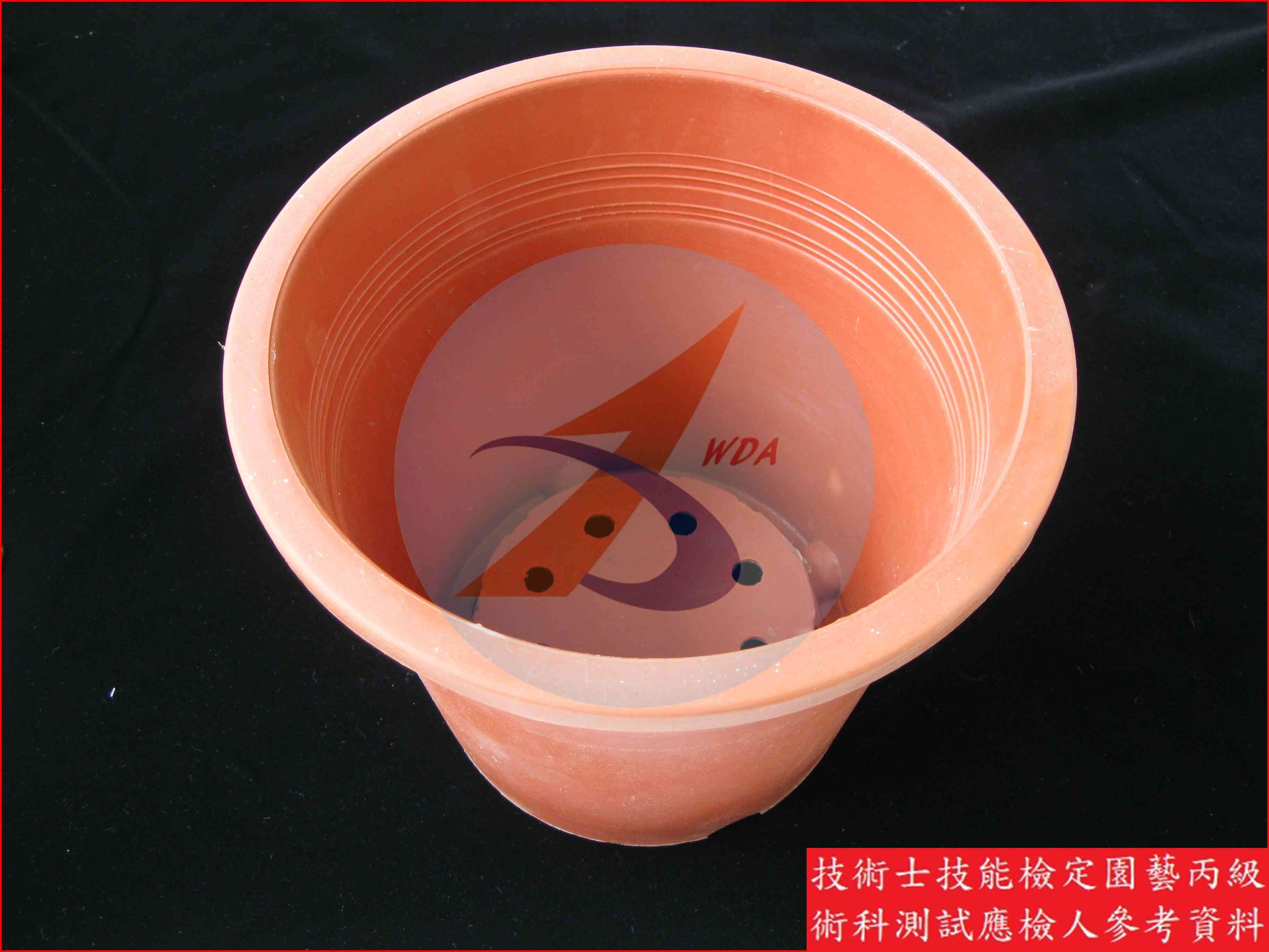 塑膠盆 園藝丙級辨識圖片