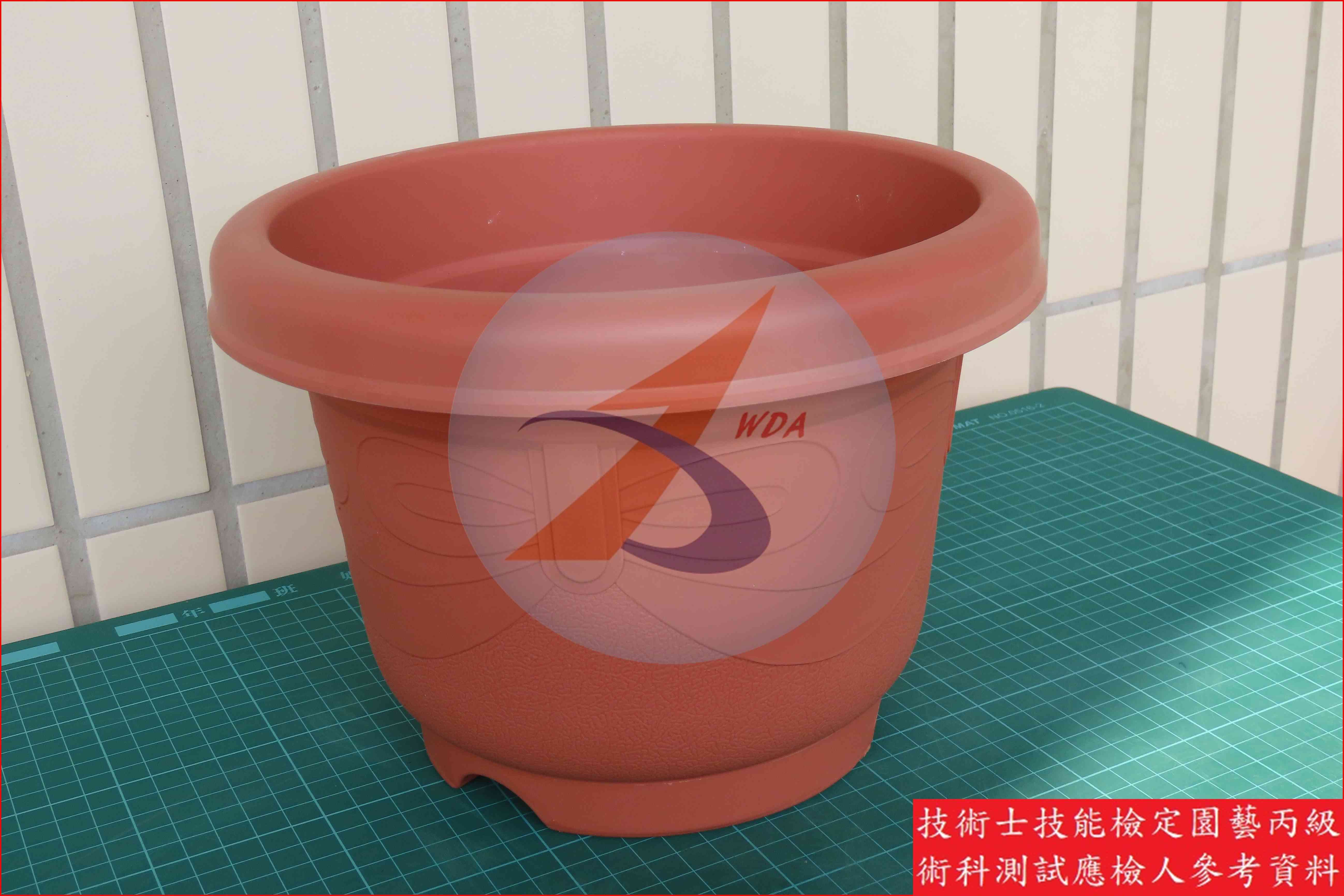 塑膠盆 園藝丙級識別圖片 3