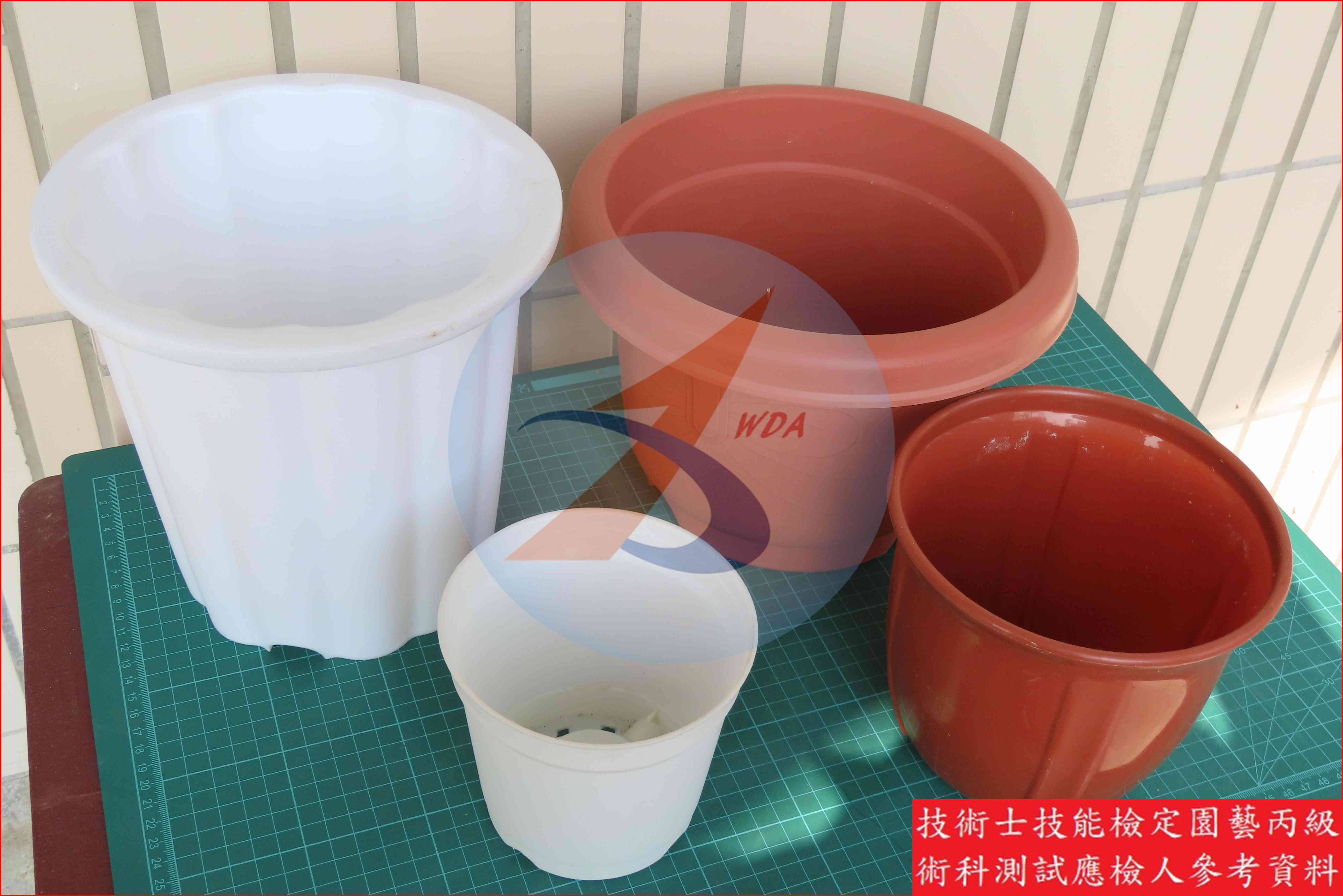 塑膠盆 園藝丙級識別圖片 4