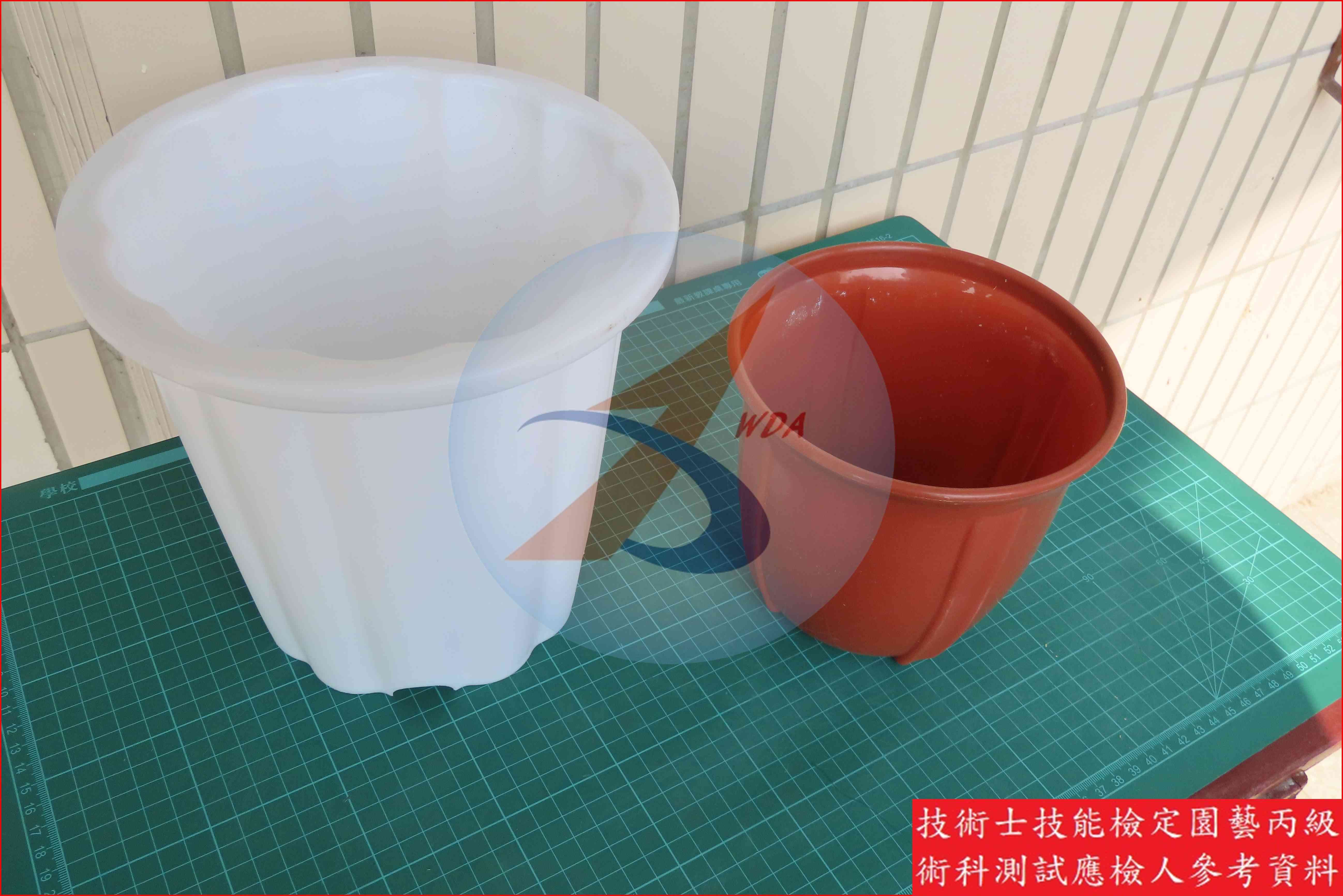 塑膠盆 園藝丙級識別圖片 5