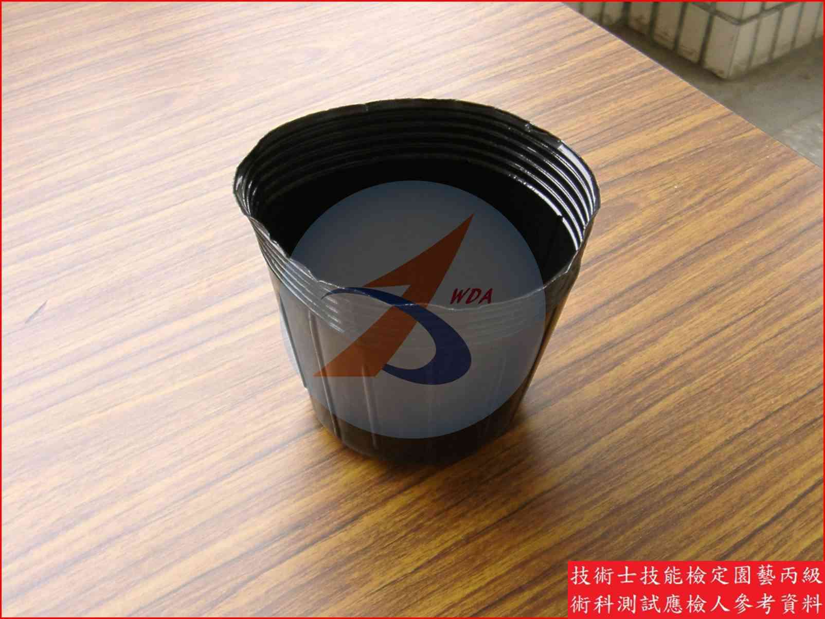 黑軟盆 園藝丙級辨識圖片