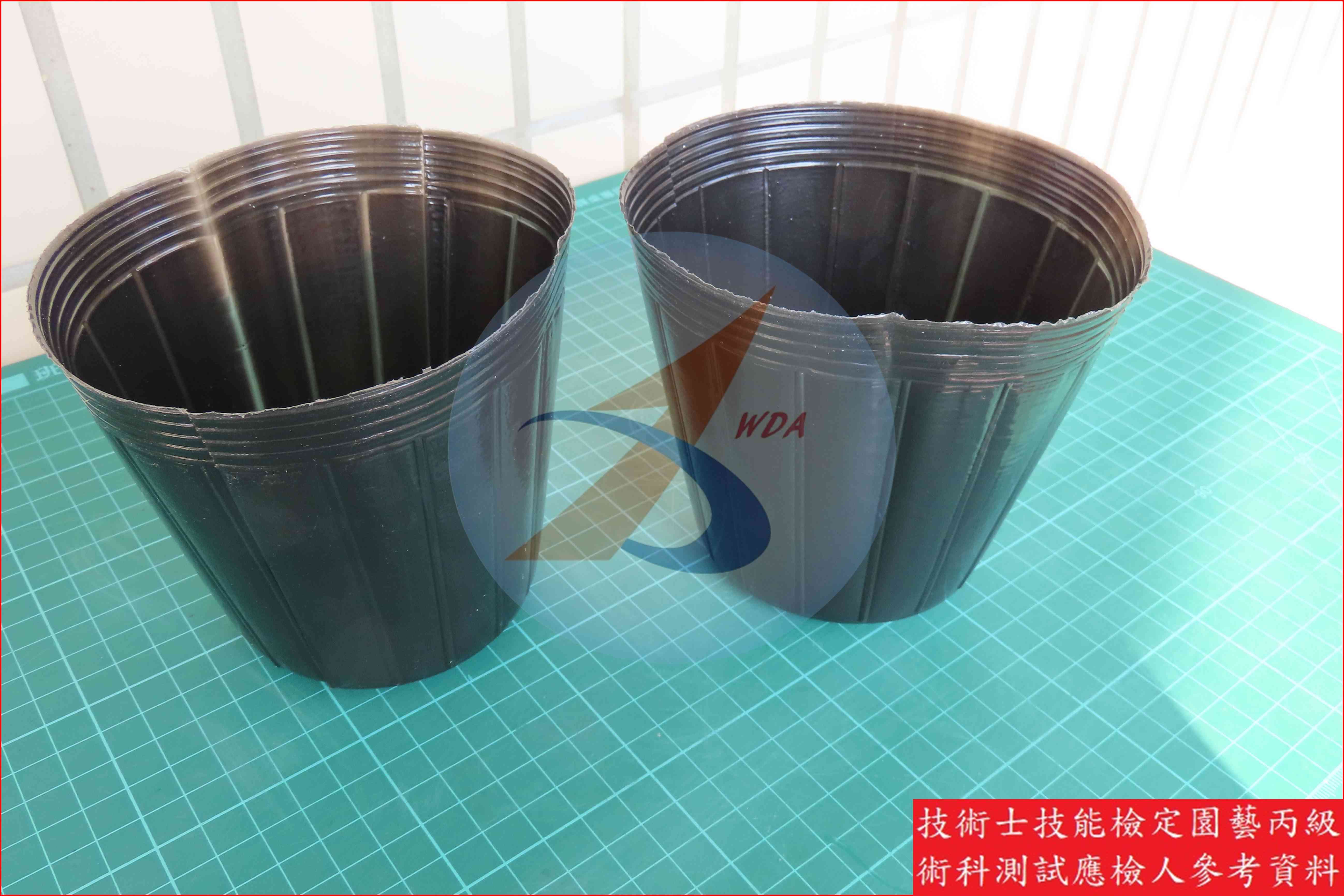 黑軟盆 園藝丙級識別圖片 3