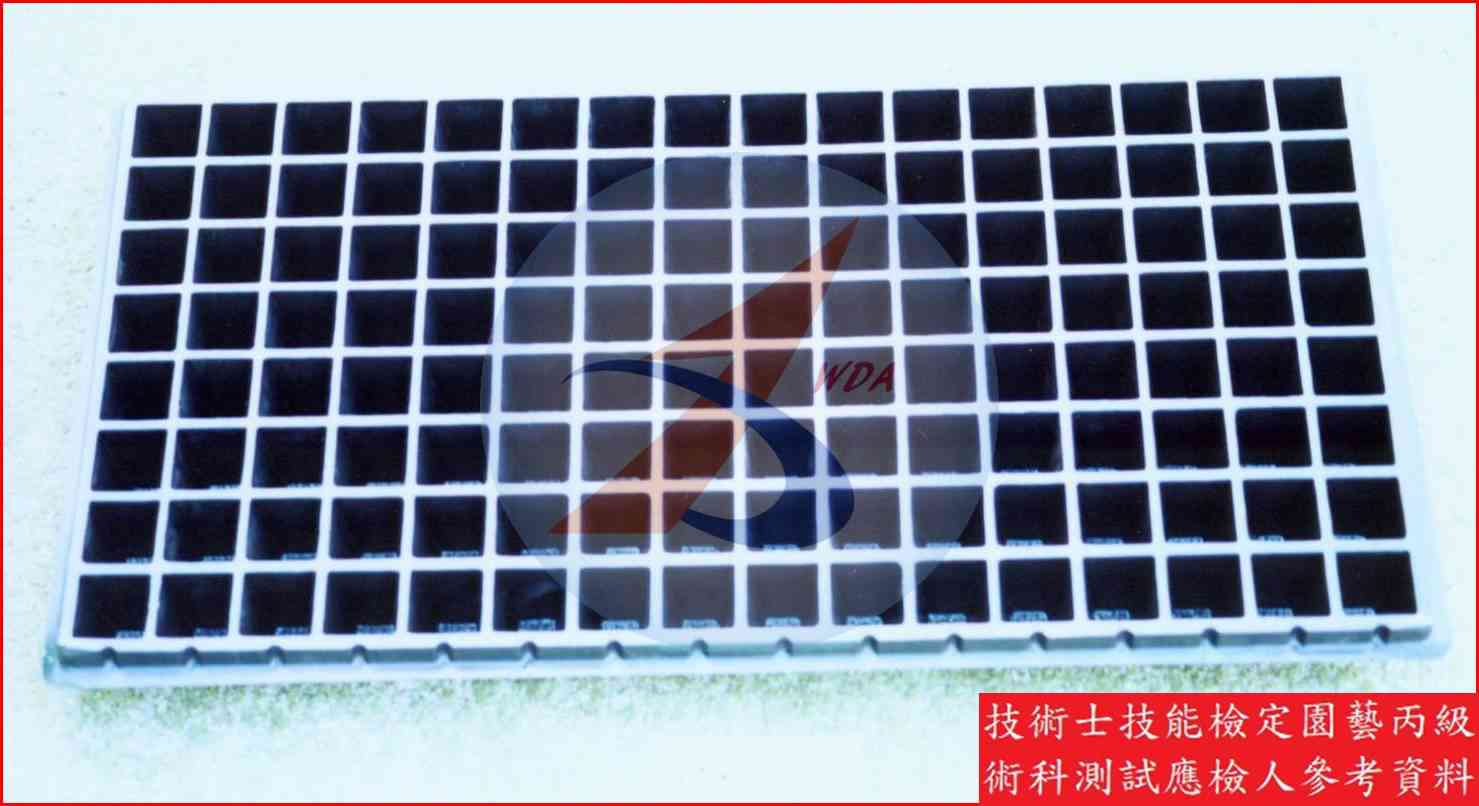 穴盤 園藝丙級識別圖片 3
