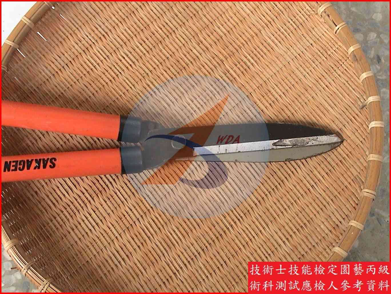 修枝剪 園藝丙級識別圖片 2