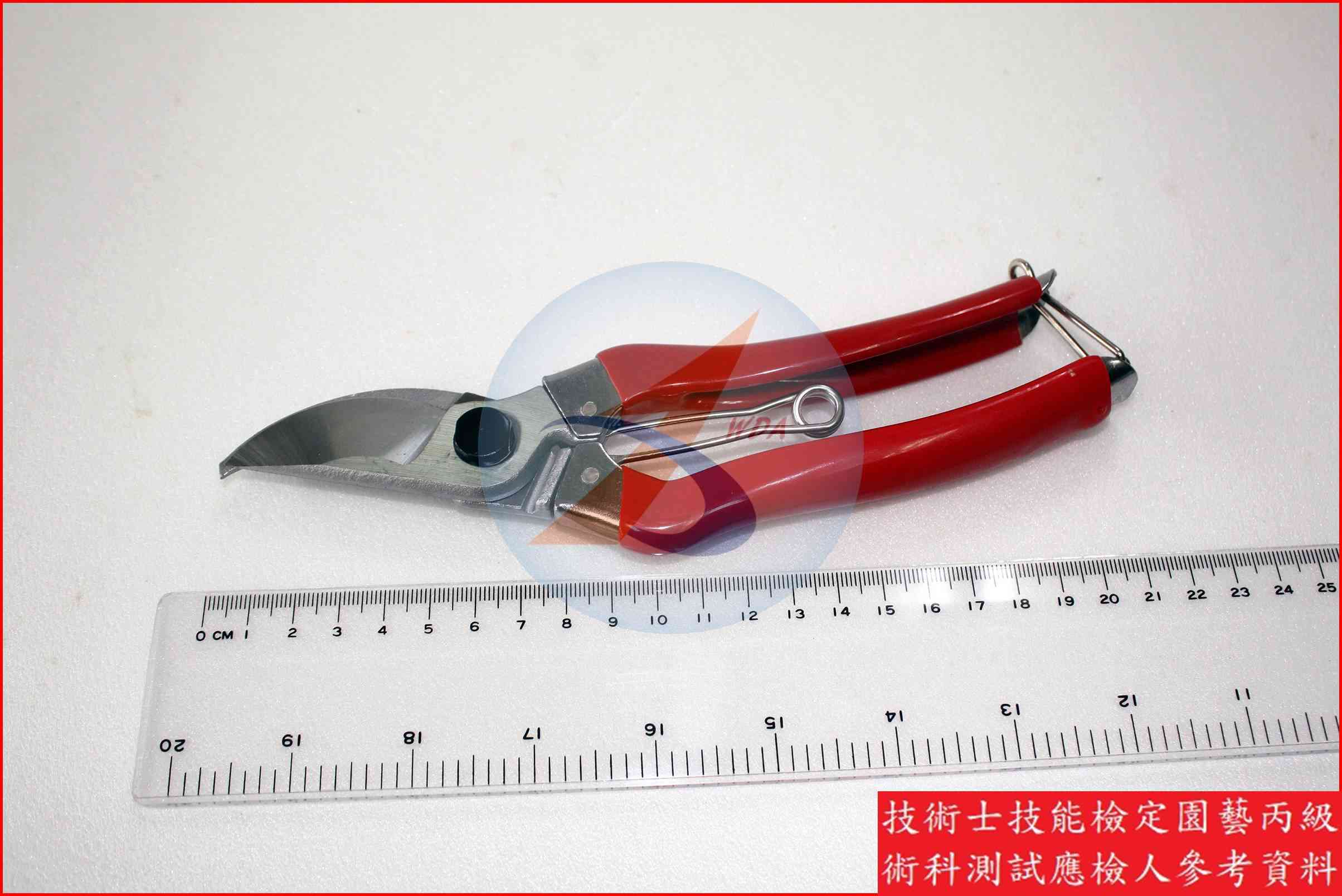 剪定鋏 園藝丙級辨識圖片
