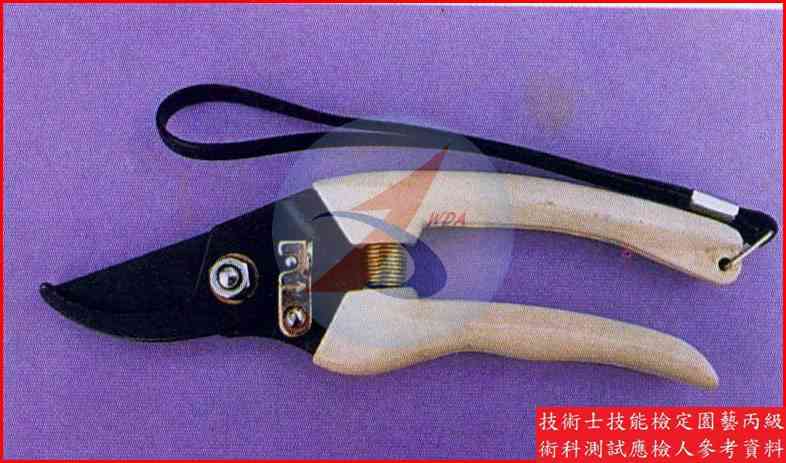 剪定鋏 園藝丙級識別圖片 3