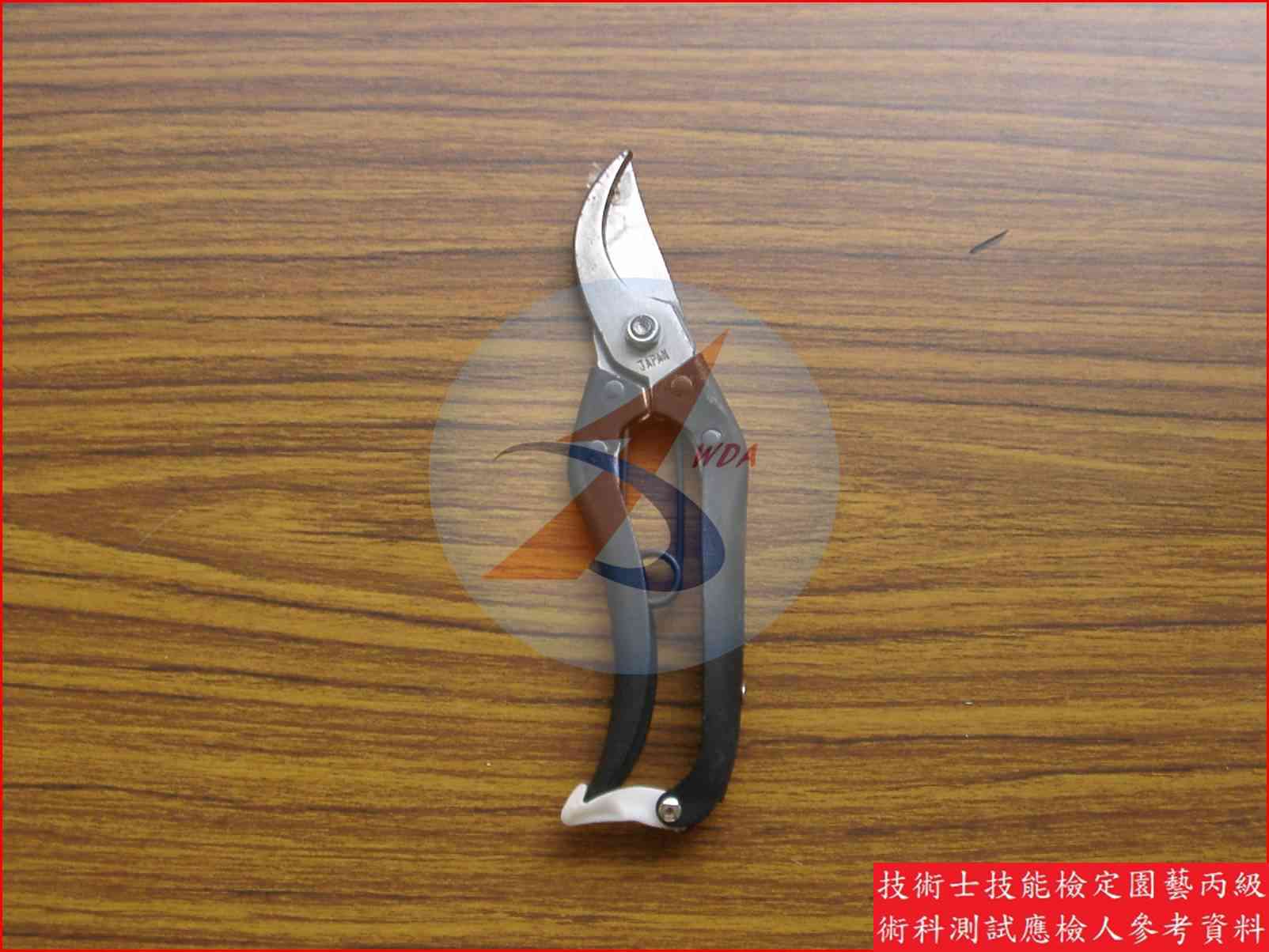 剪定鋏 園藝丙級識別圖片 7