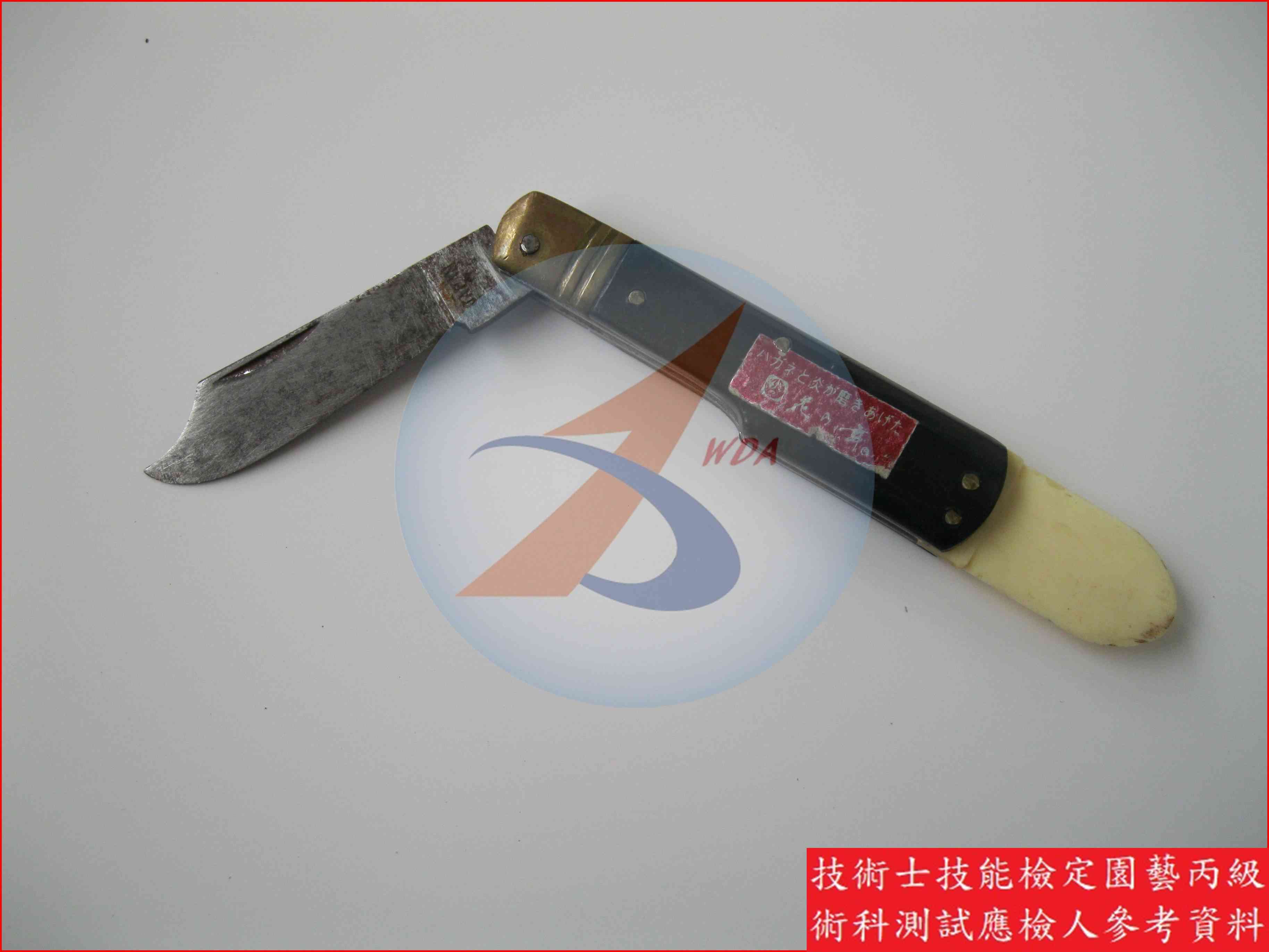 芽接刀 園藝丙級辨識圖片