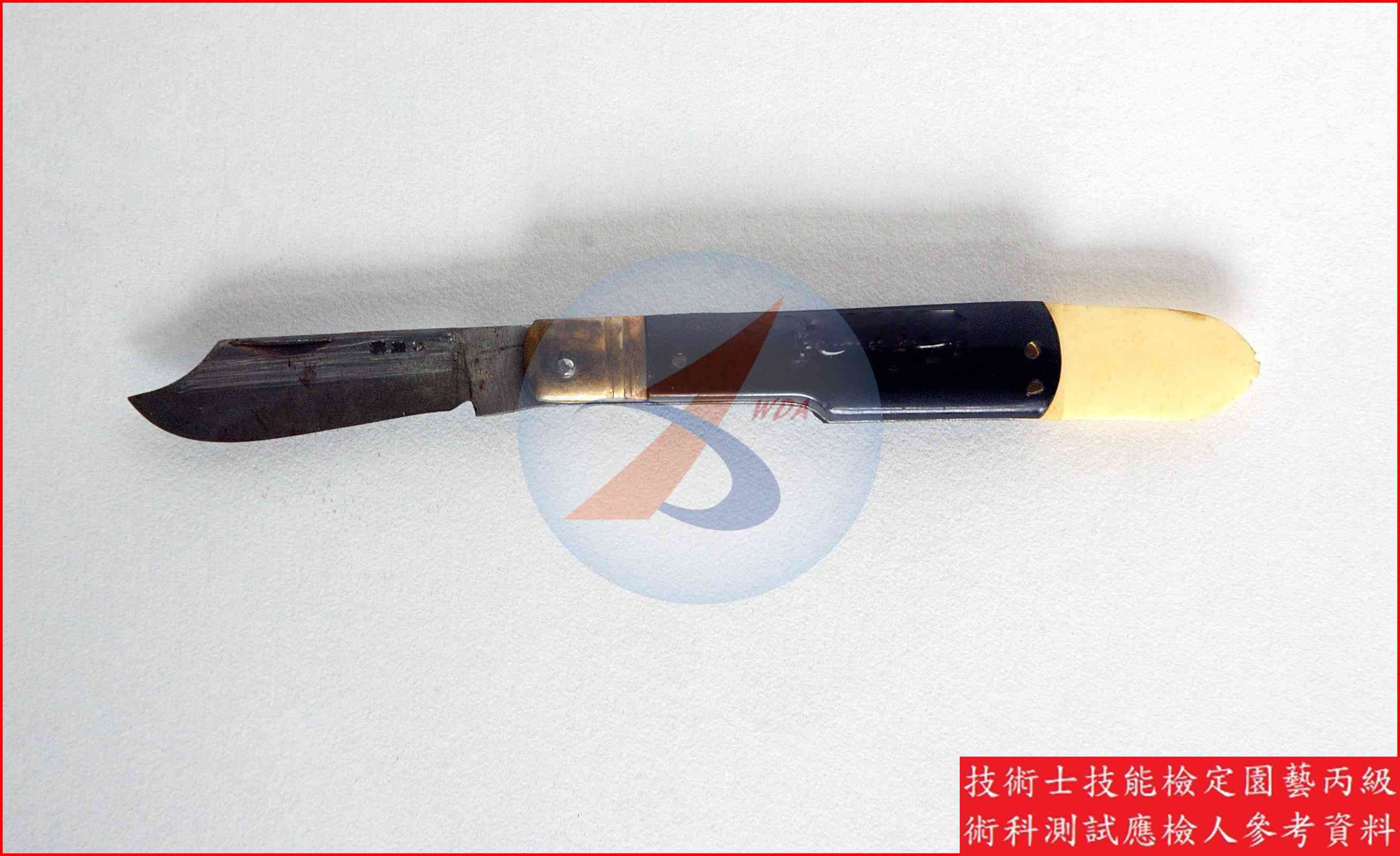 芽接刀 園藝丙級識別圖片 2