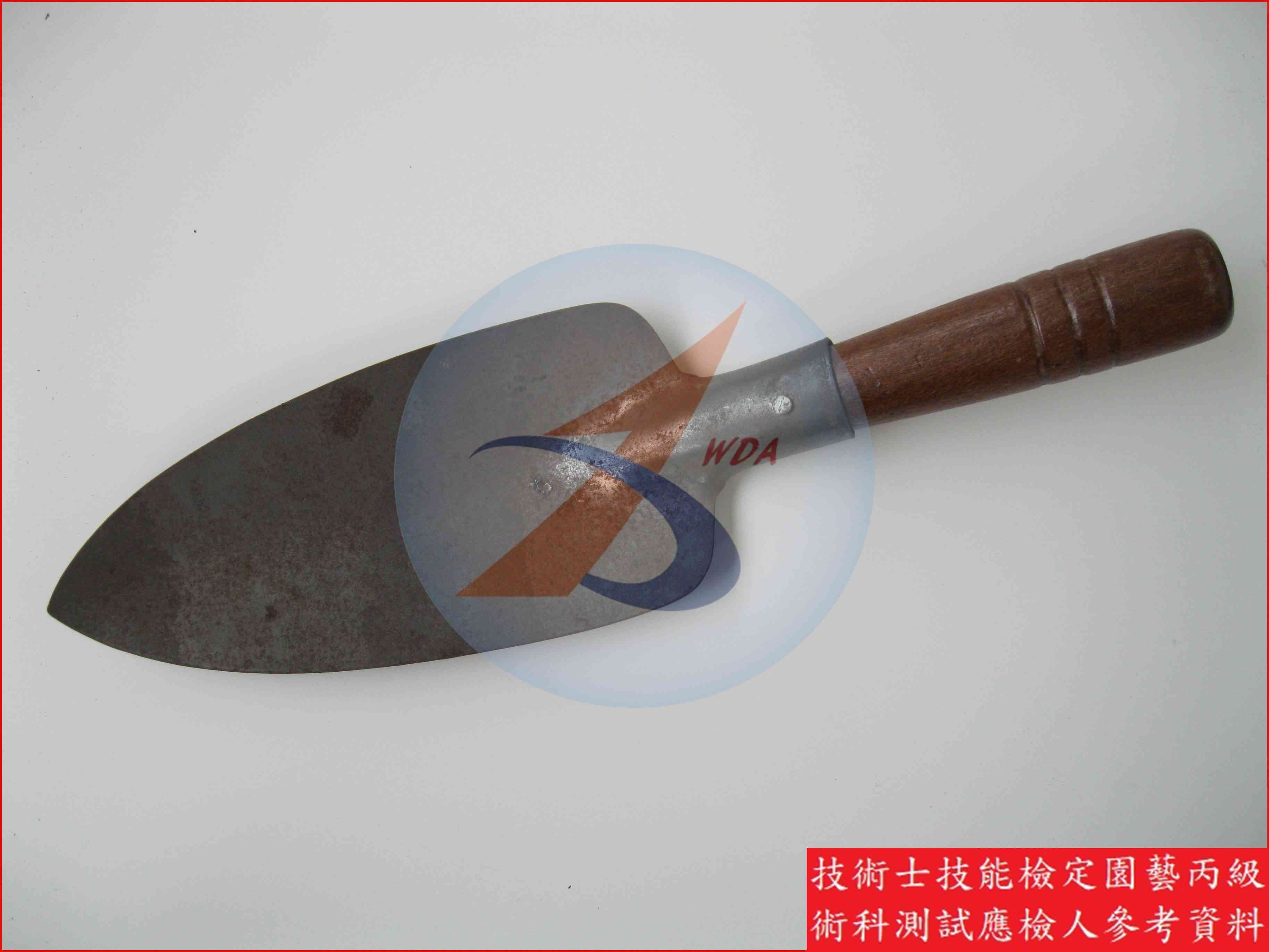 移植鏝 園藝丙級辨識圖片