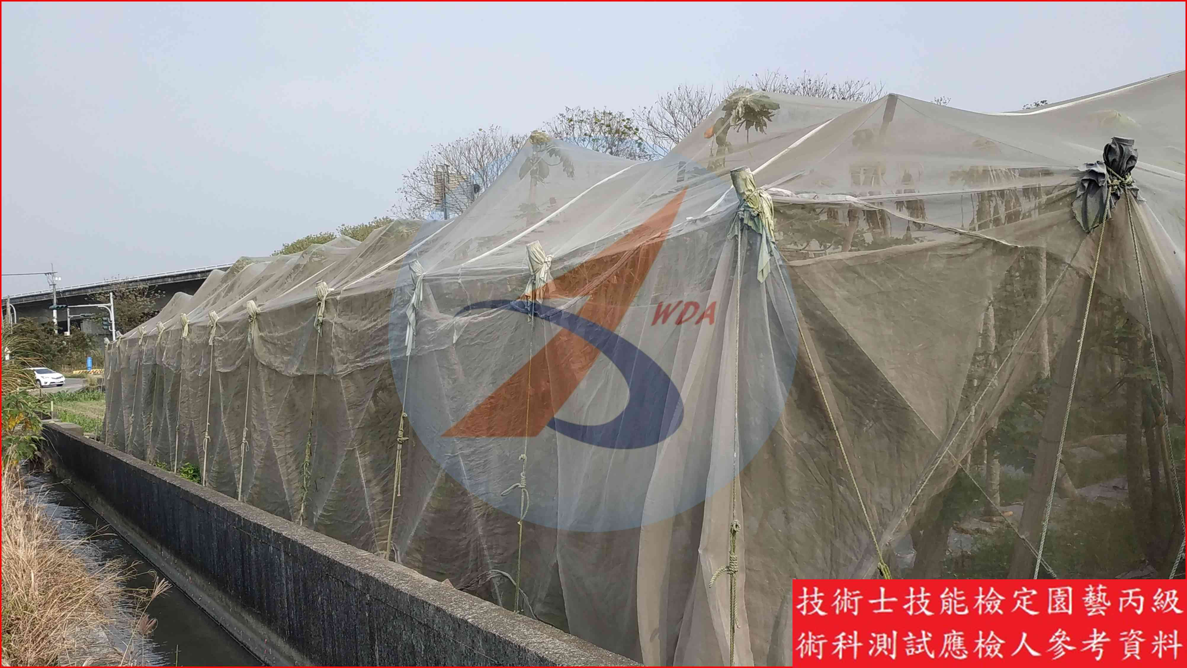 防蟲網 園藝丙級識別圖片 3
