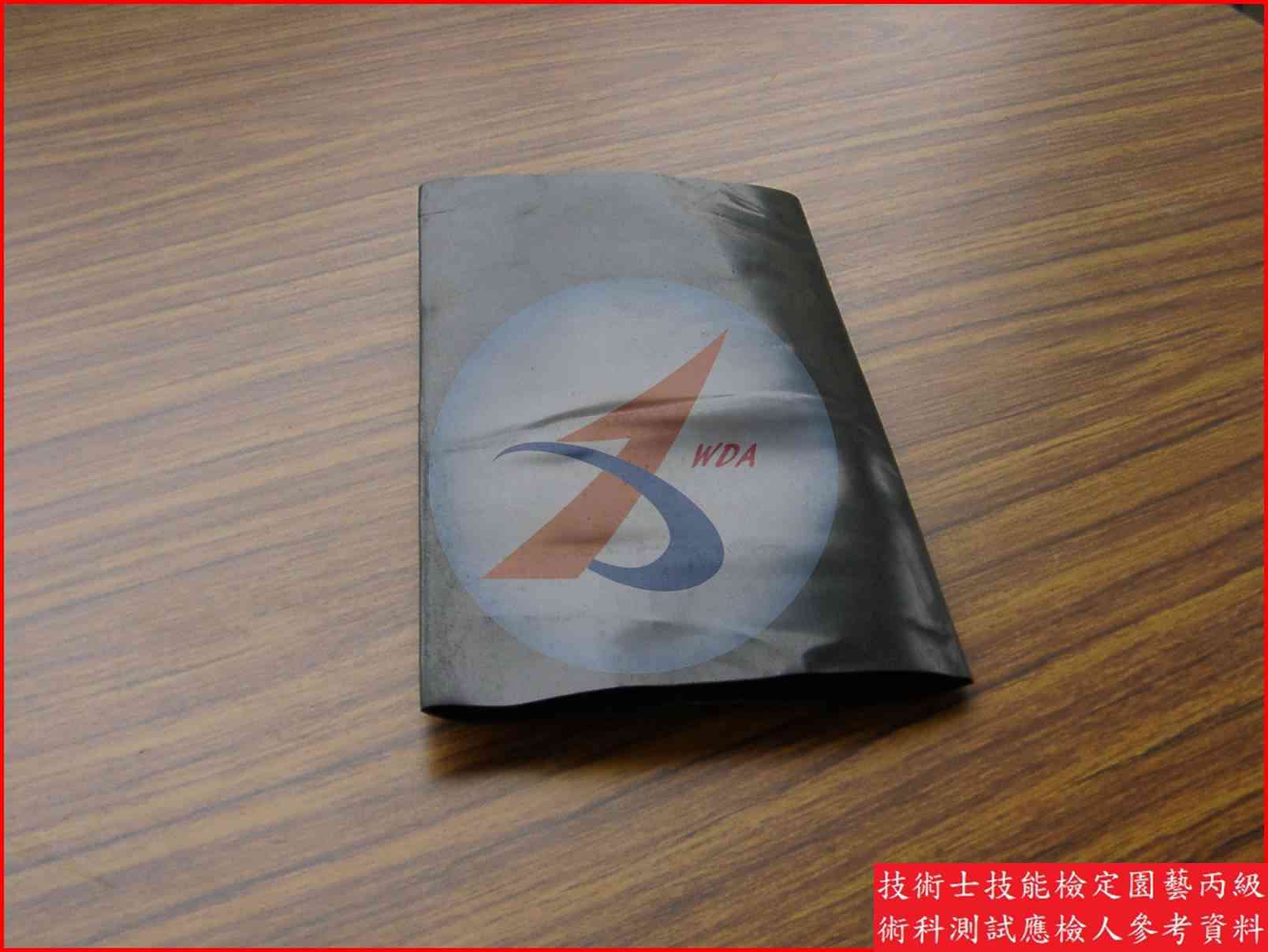 噴水帶 園藝丙級識別圖片 3