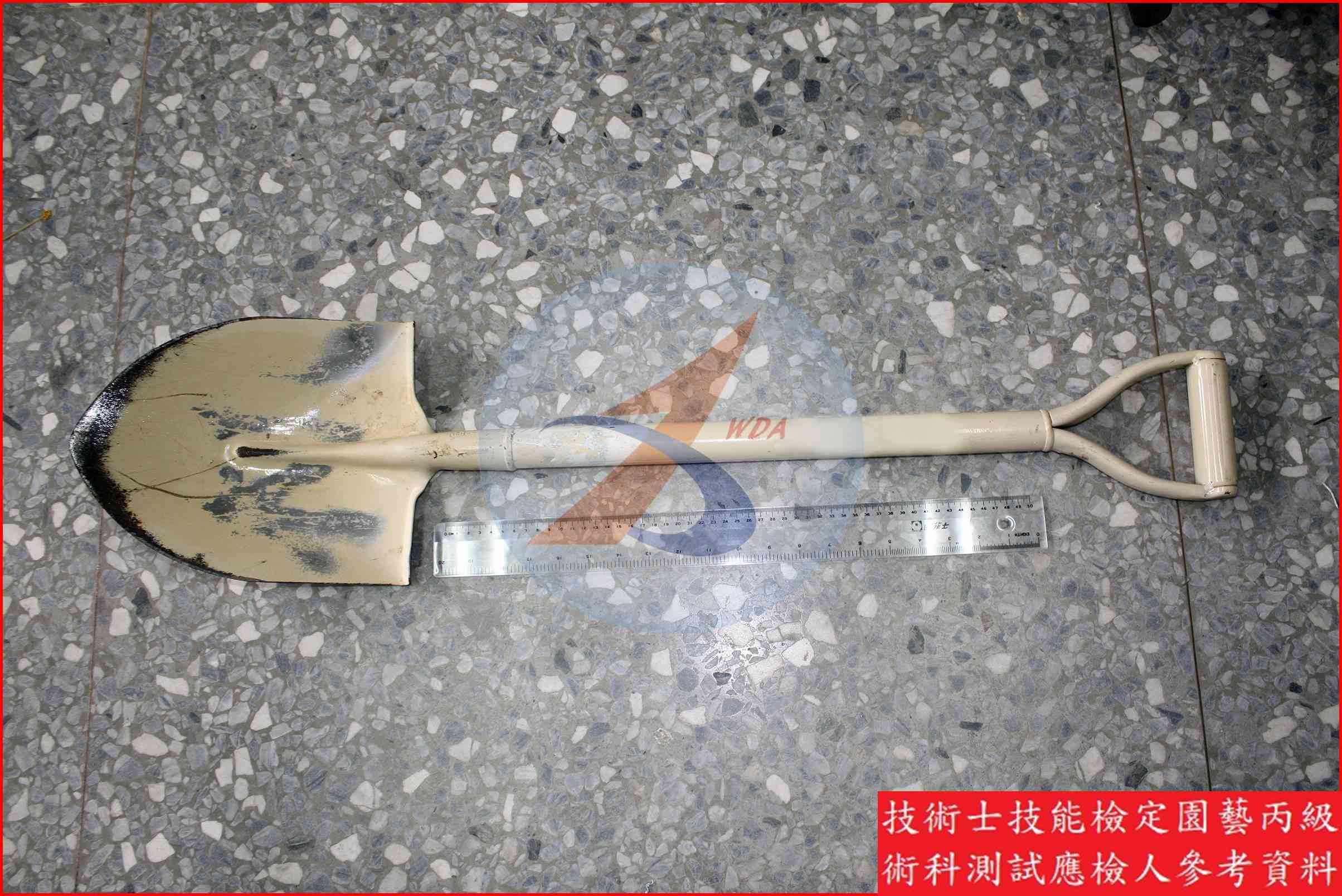 圓鍬 園藝丙級辨識圖片