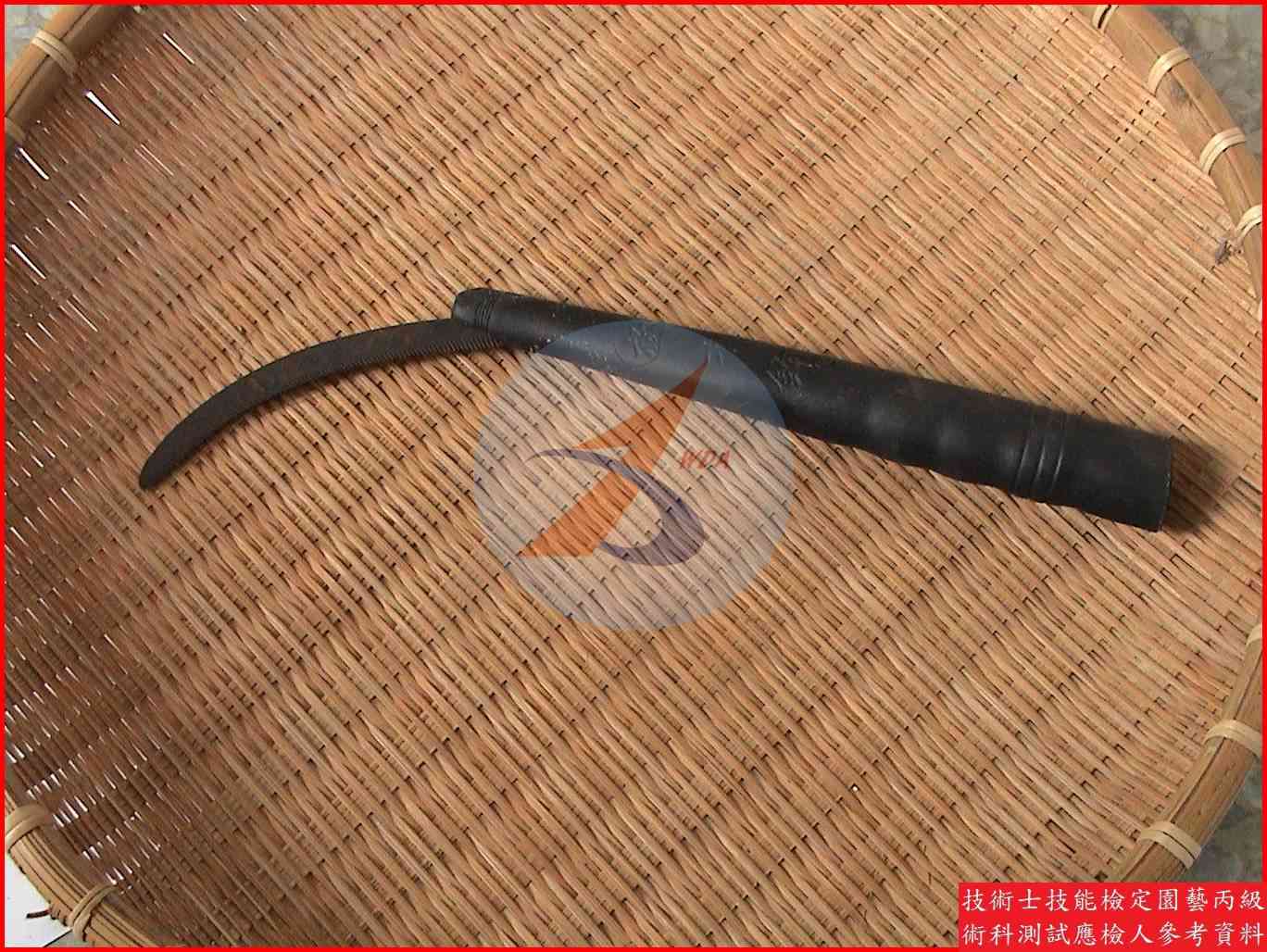 鐮刀 園藝丙級識別圖片 2