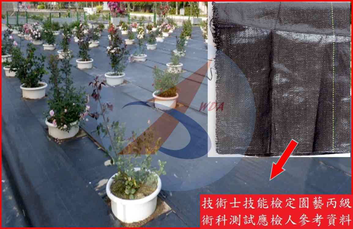 雜草抑制蓆 園藝丙級識別圖片 2