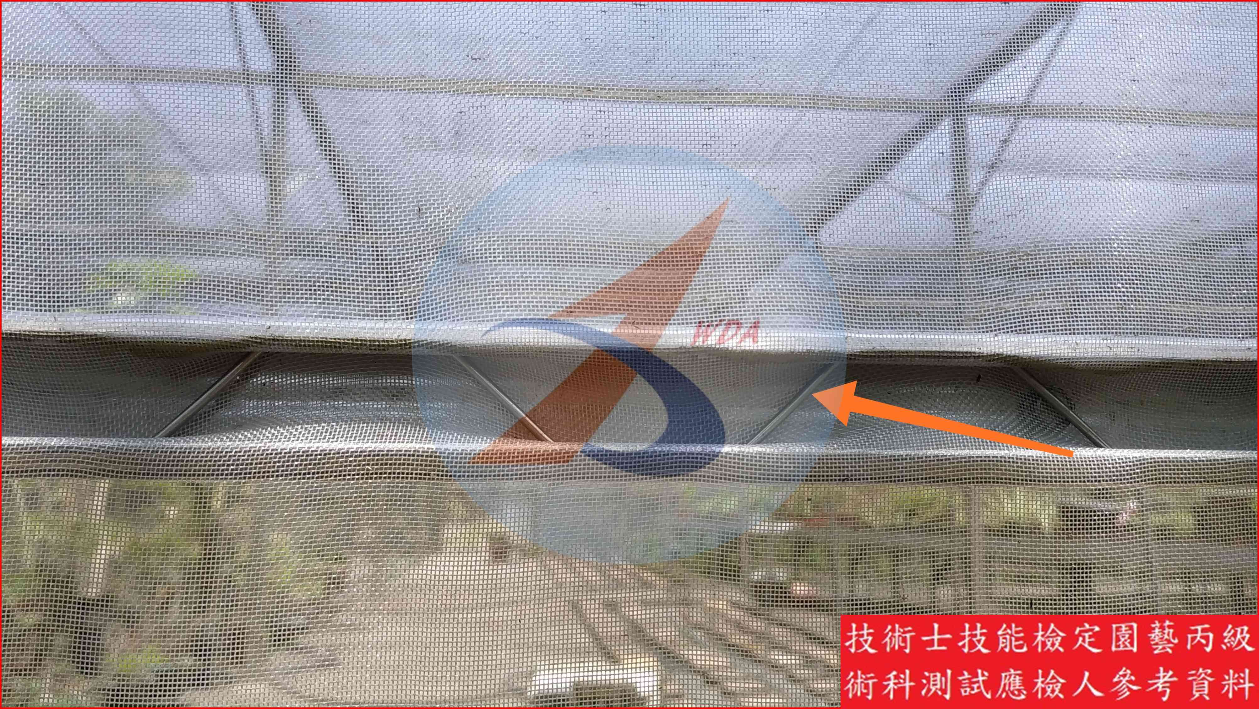 壓條線 園藝丙級識別圖片 6