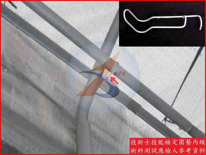彈簧夾 園藝丙級辨識圖片