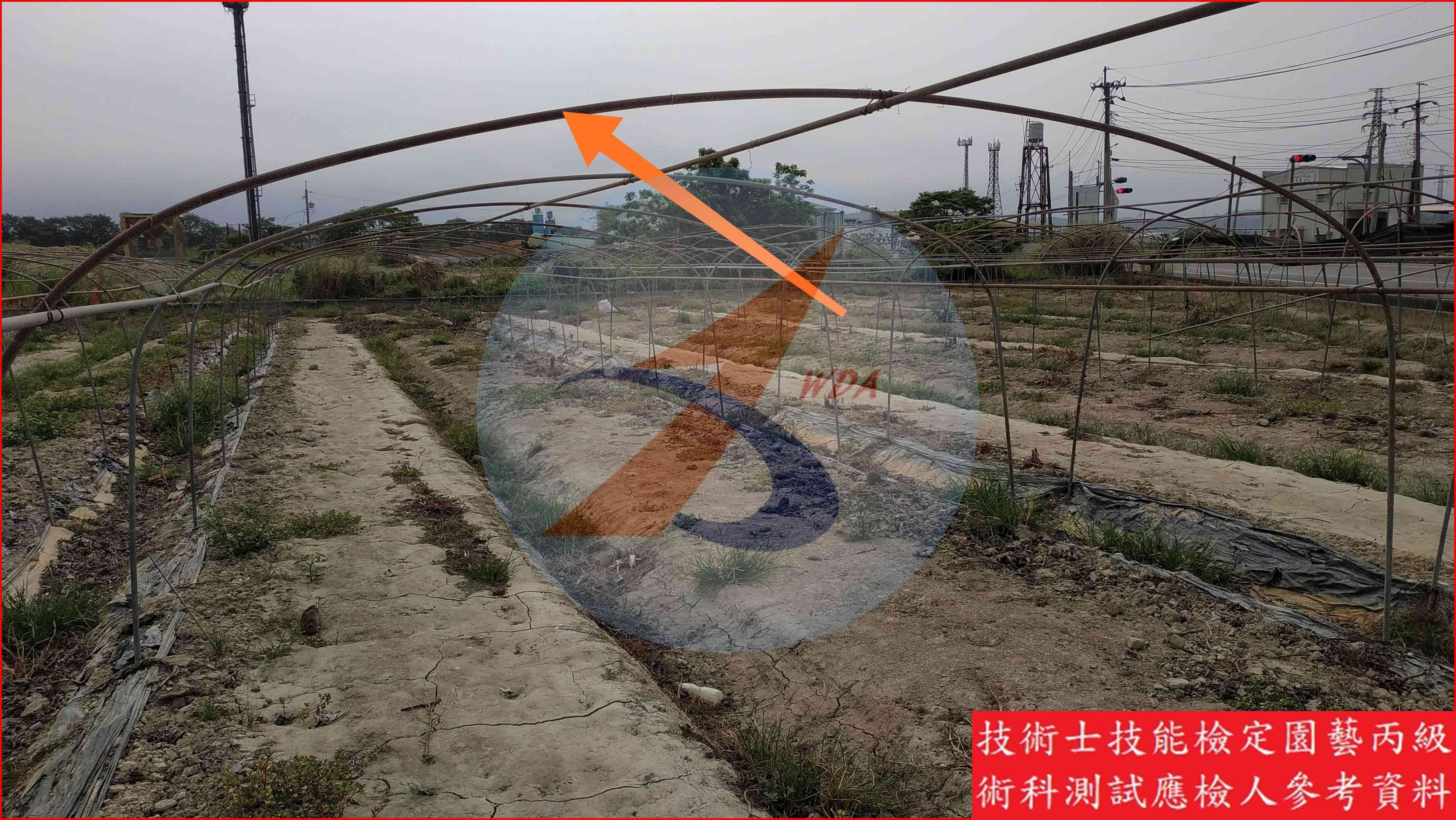 錏管 園藝丙級識別圖片 3