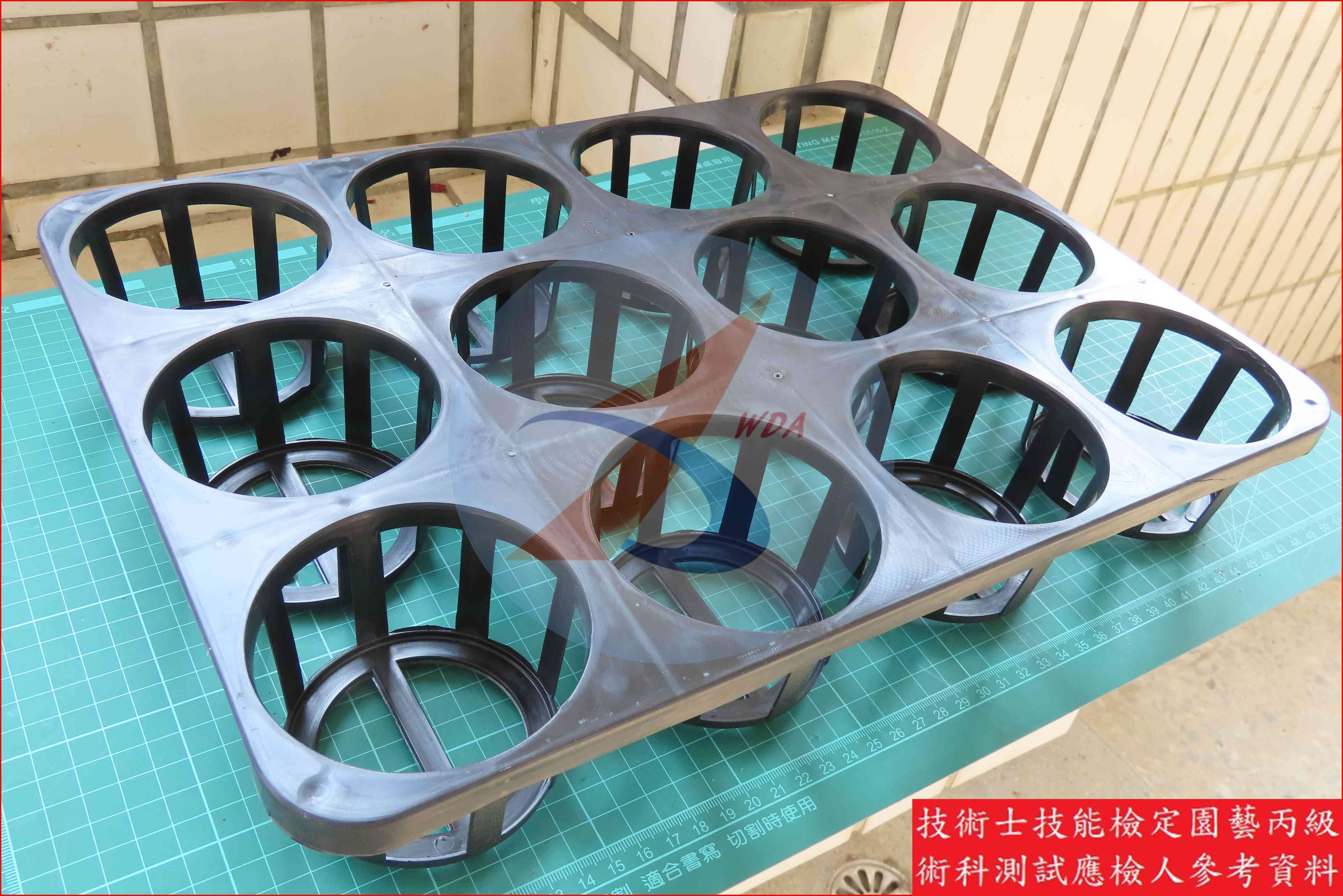 盆花端盤 園藝丙級識別圖片 7
