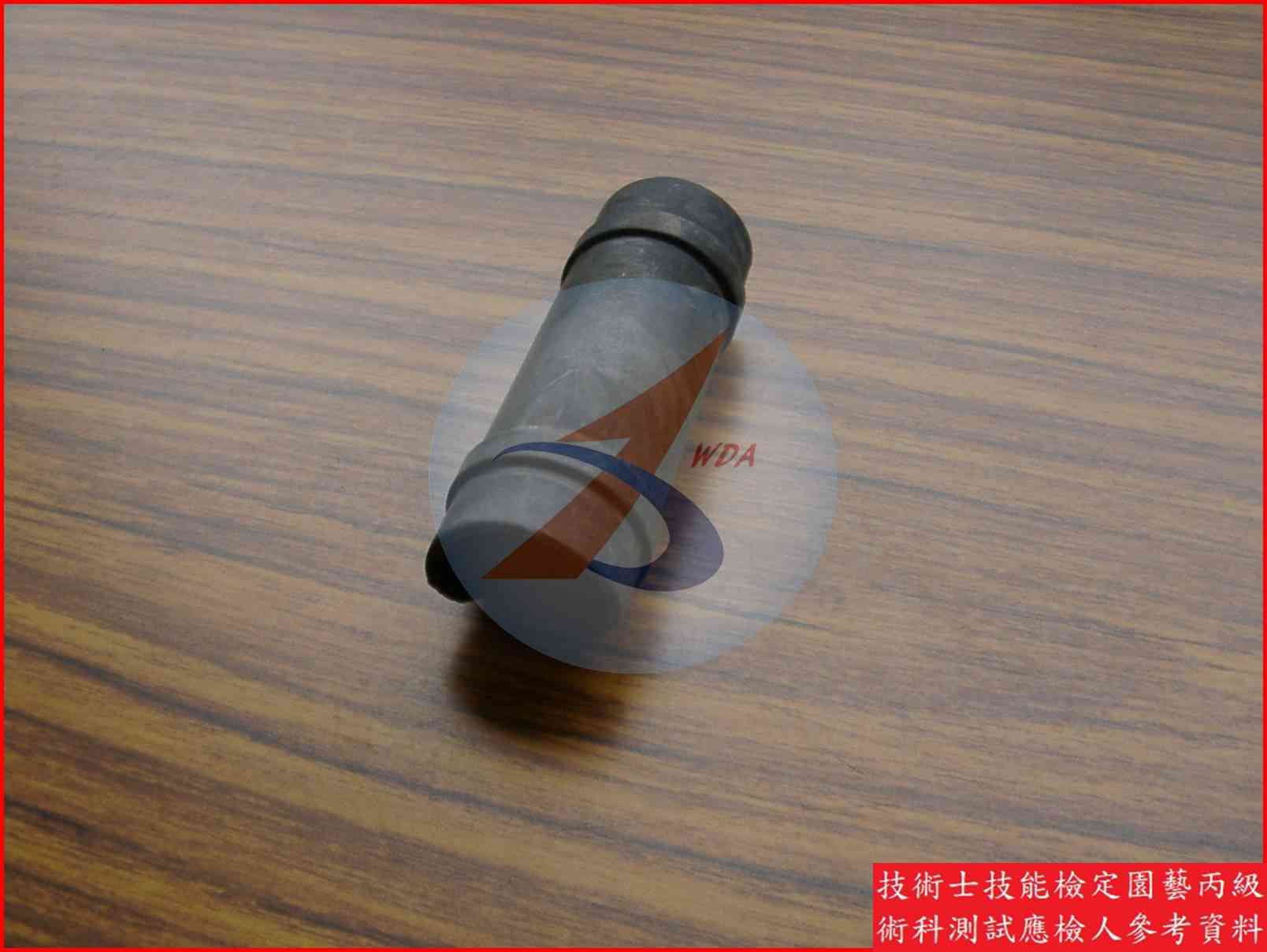 管夾 園藝丙級識別圖片 2