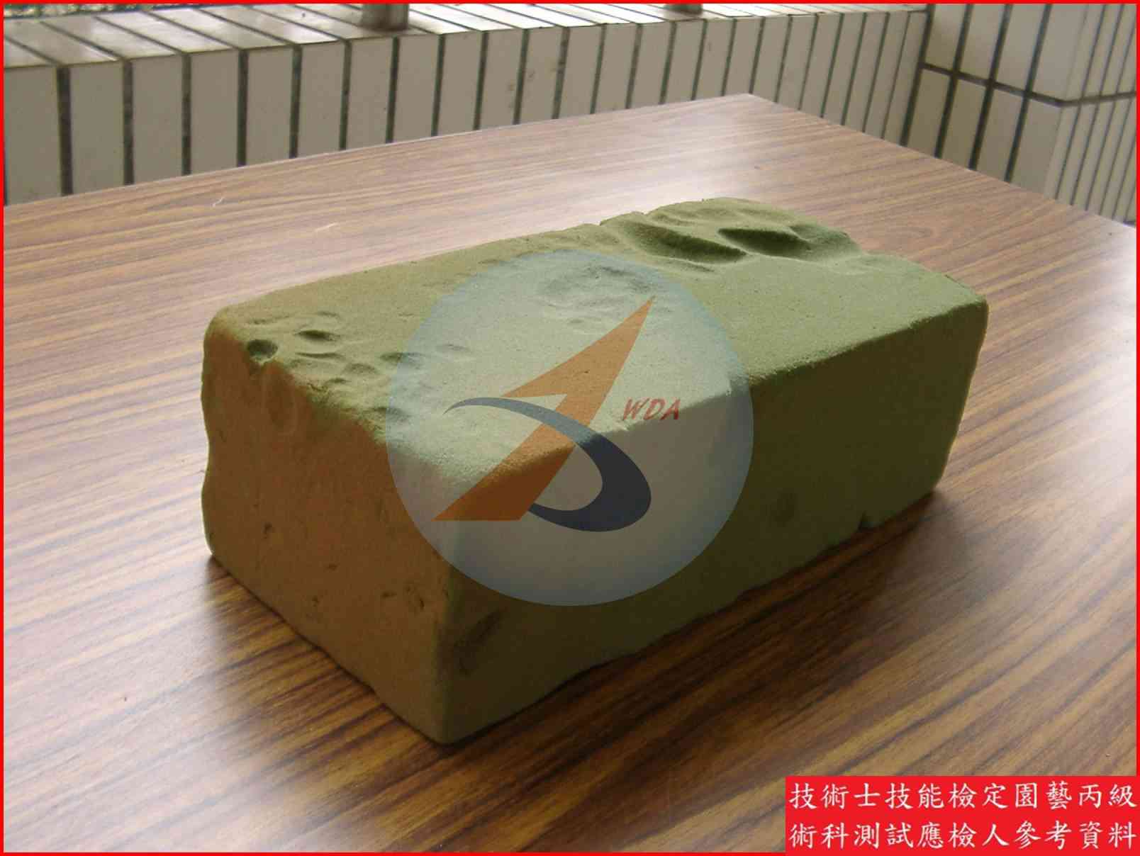 綠海綿 園藝丙級辨識圖片