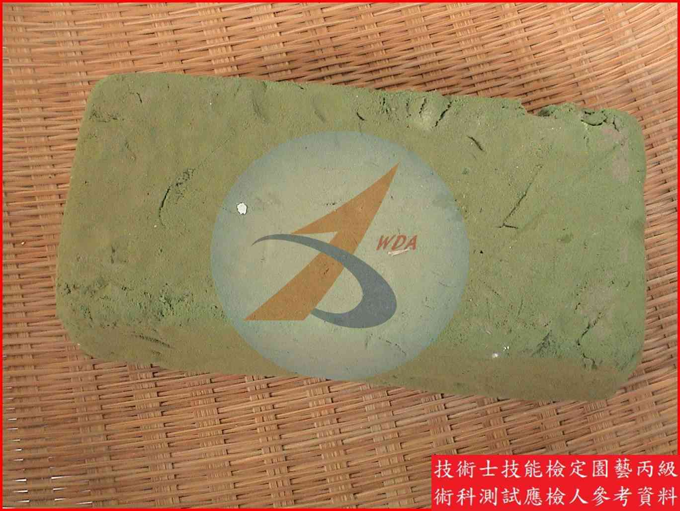 綠海綿 園藝丙級識別圖片 2