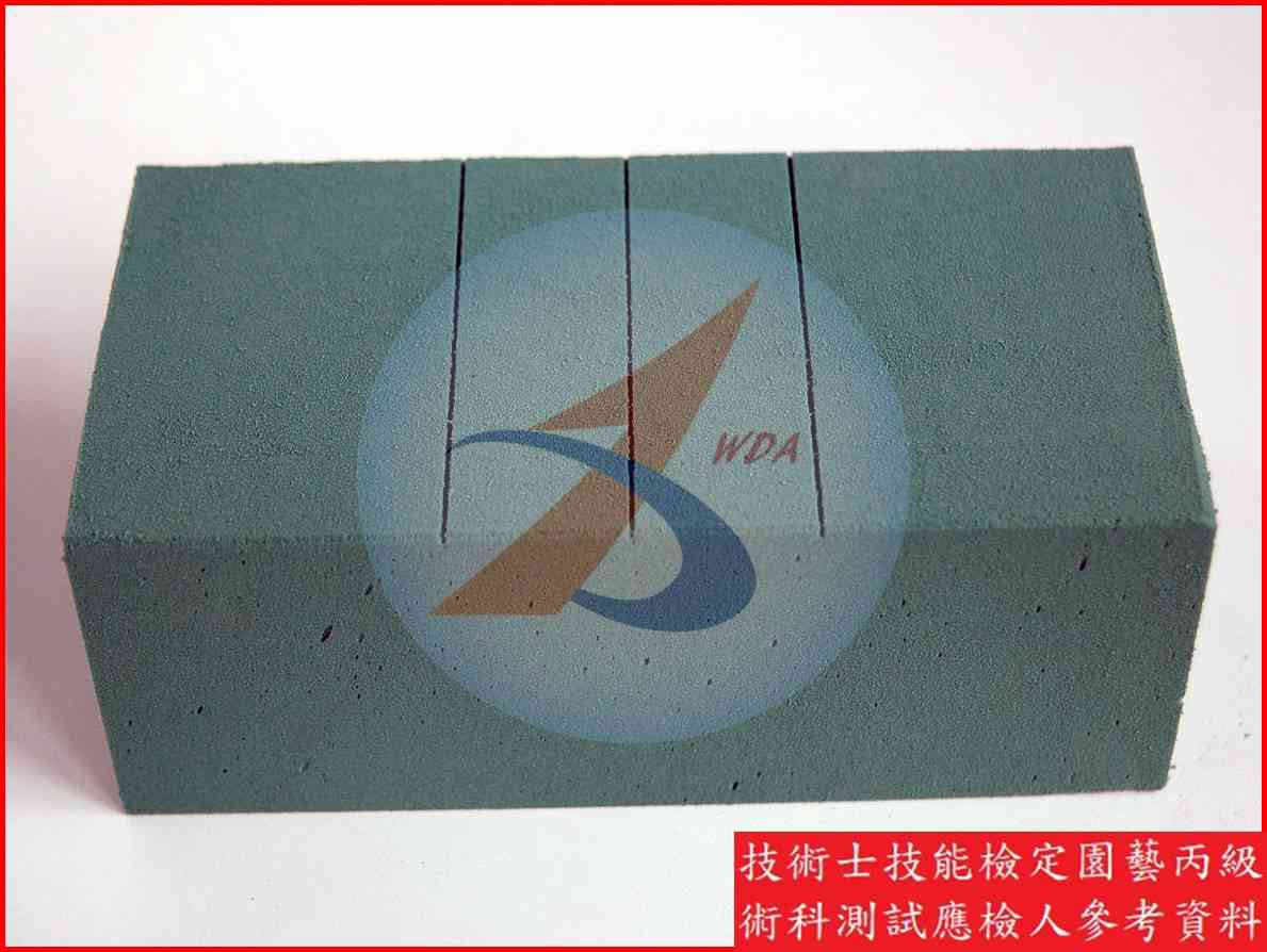 綠海綿 園藝丙級識別圖片 3